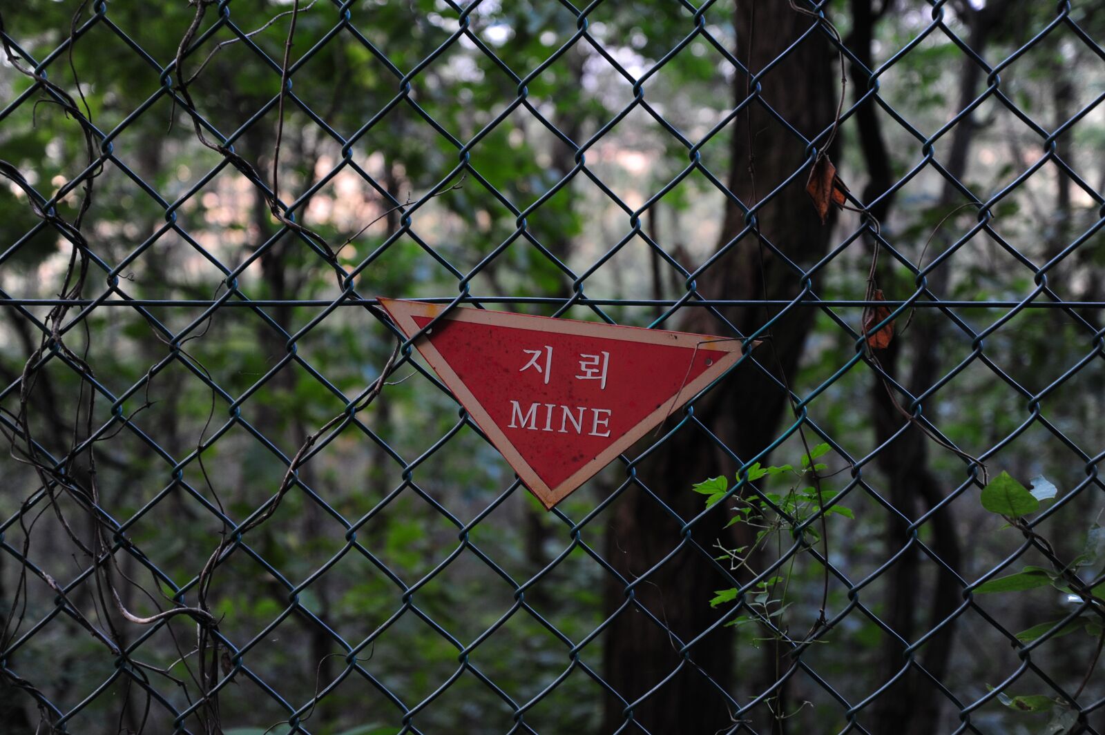 Nikon D700 sample photo. Land mines, mine, risk photography