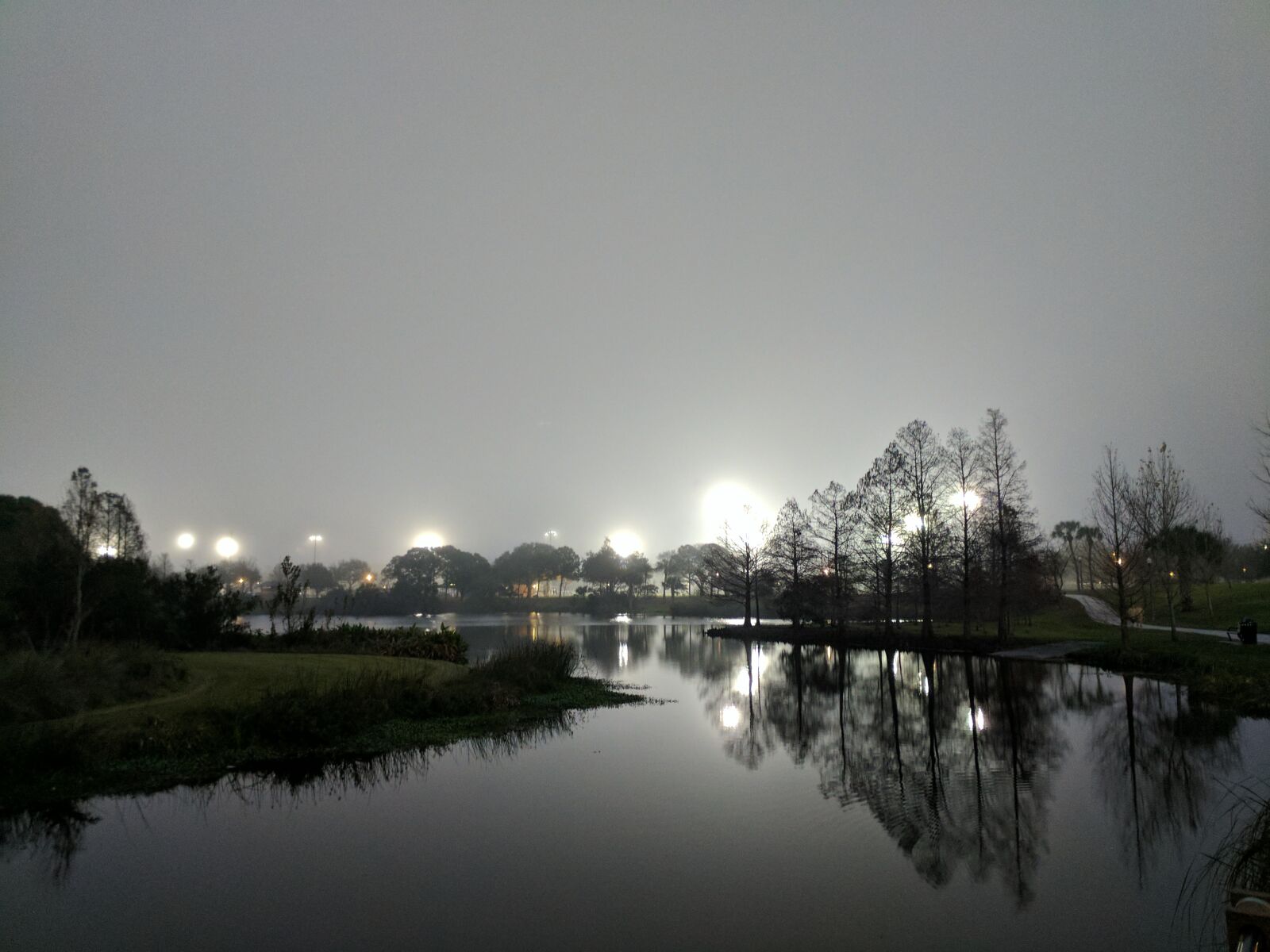 Google Pixel sample photo. Fog, foggy, night, night photography