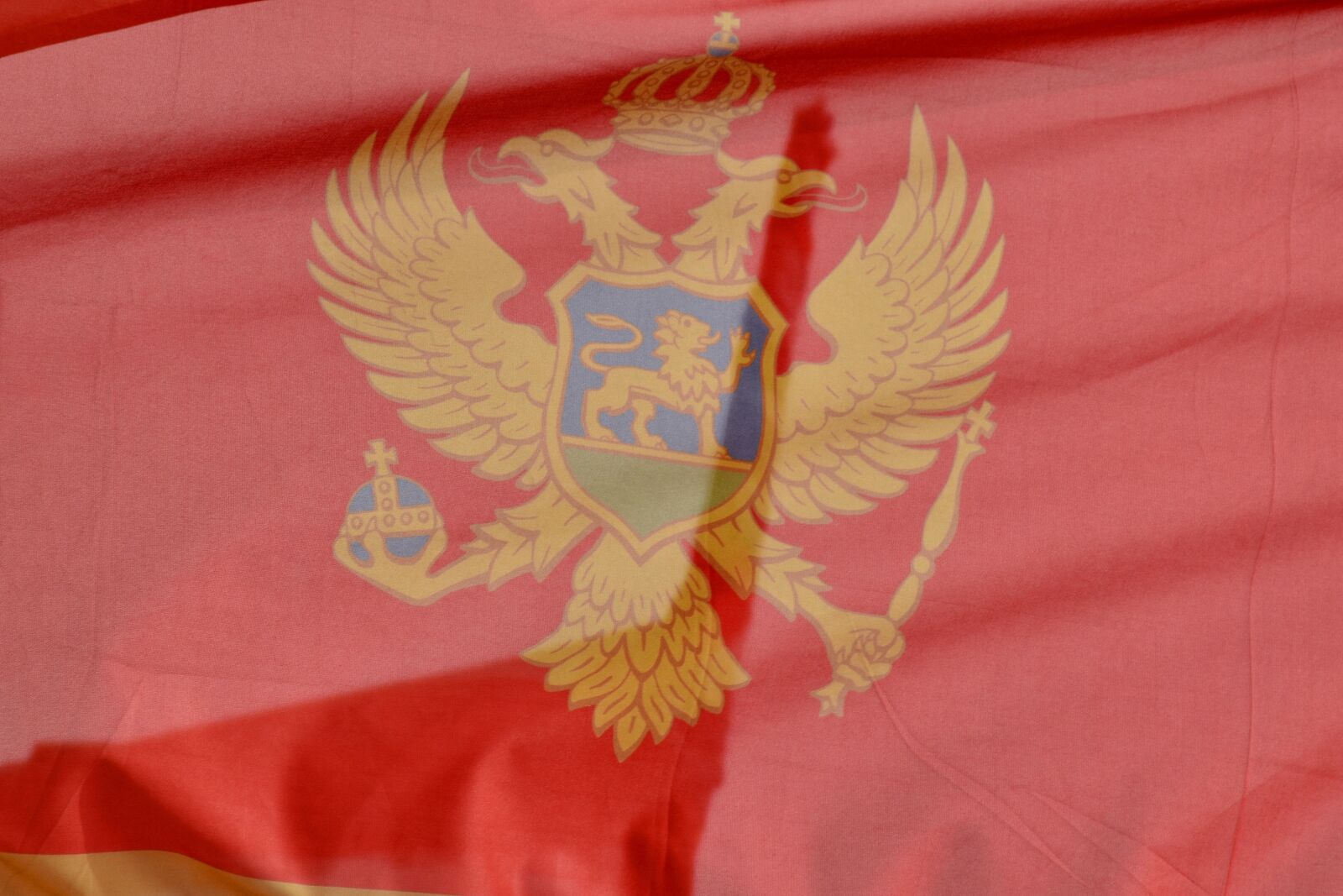 Nikon D5500 sample photo. Montenegro, democracy, flag, country photography
