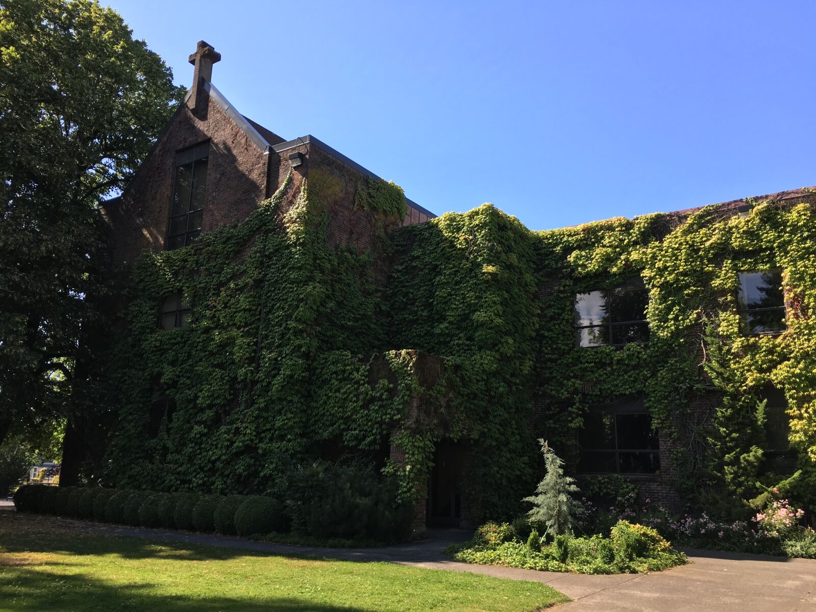 iPhone 6s Plus back camera 4.15mm f/2.2 sample photo. Concordia, university, portland photography