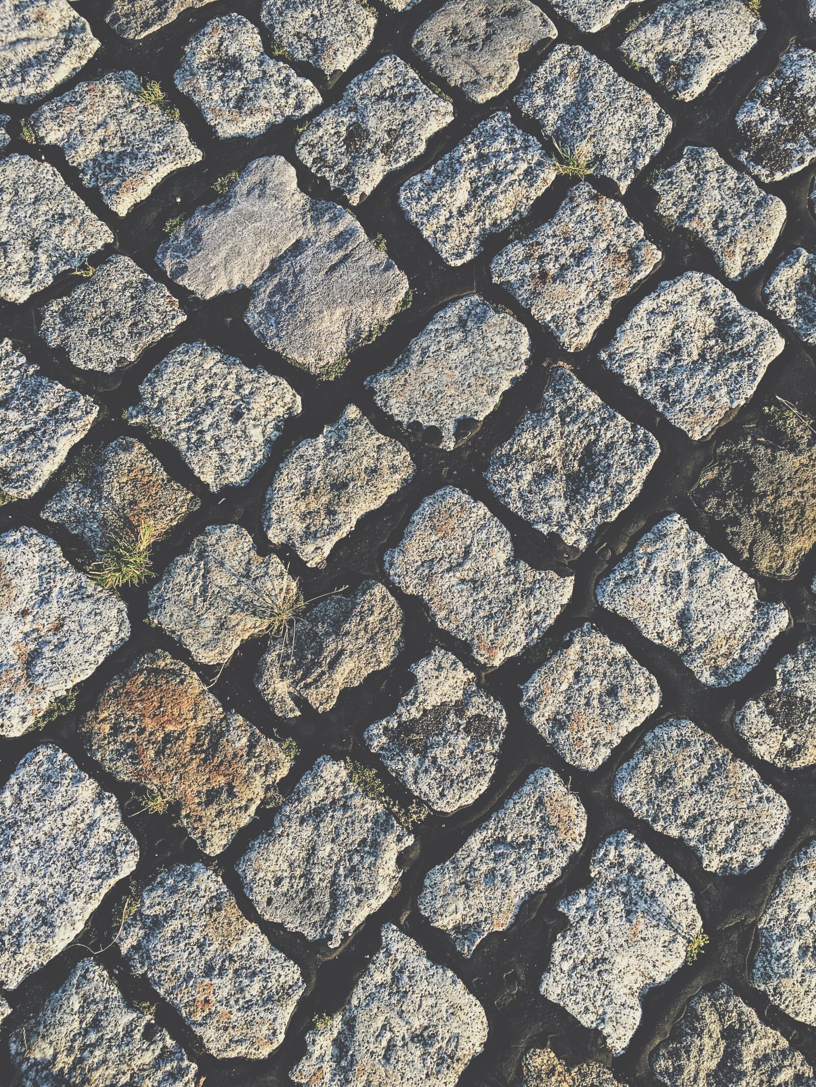 Apple iPhone 6s sample photo. Paving stones, away, weed photography