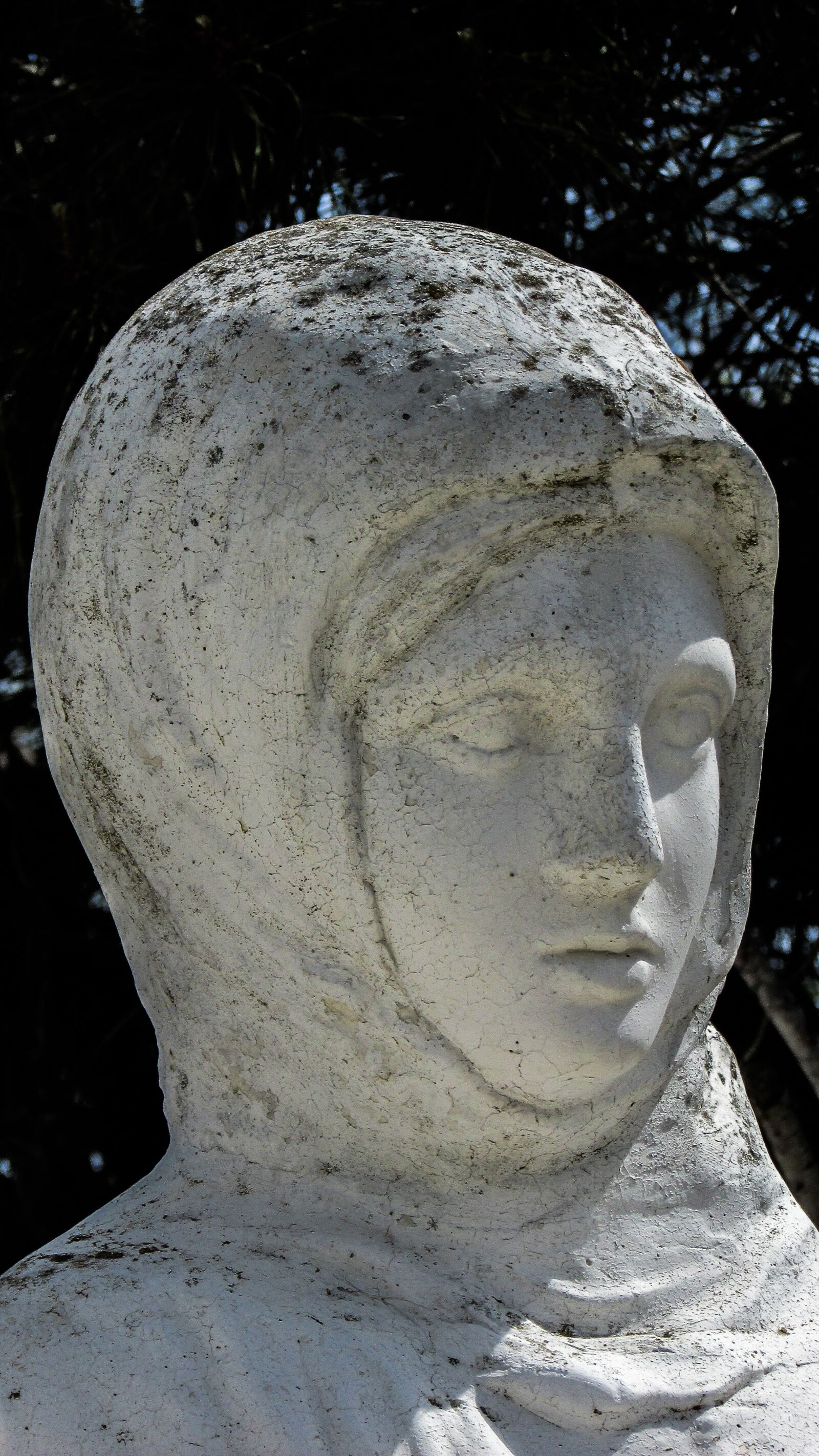 Canon PowerShot SX400 IS sample photo. Cyprus, vrysoules, mother photography