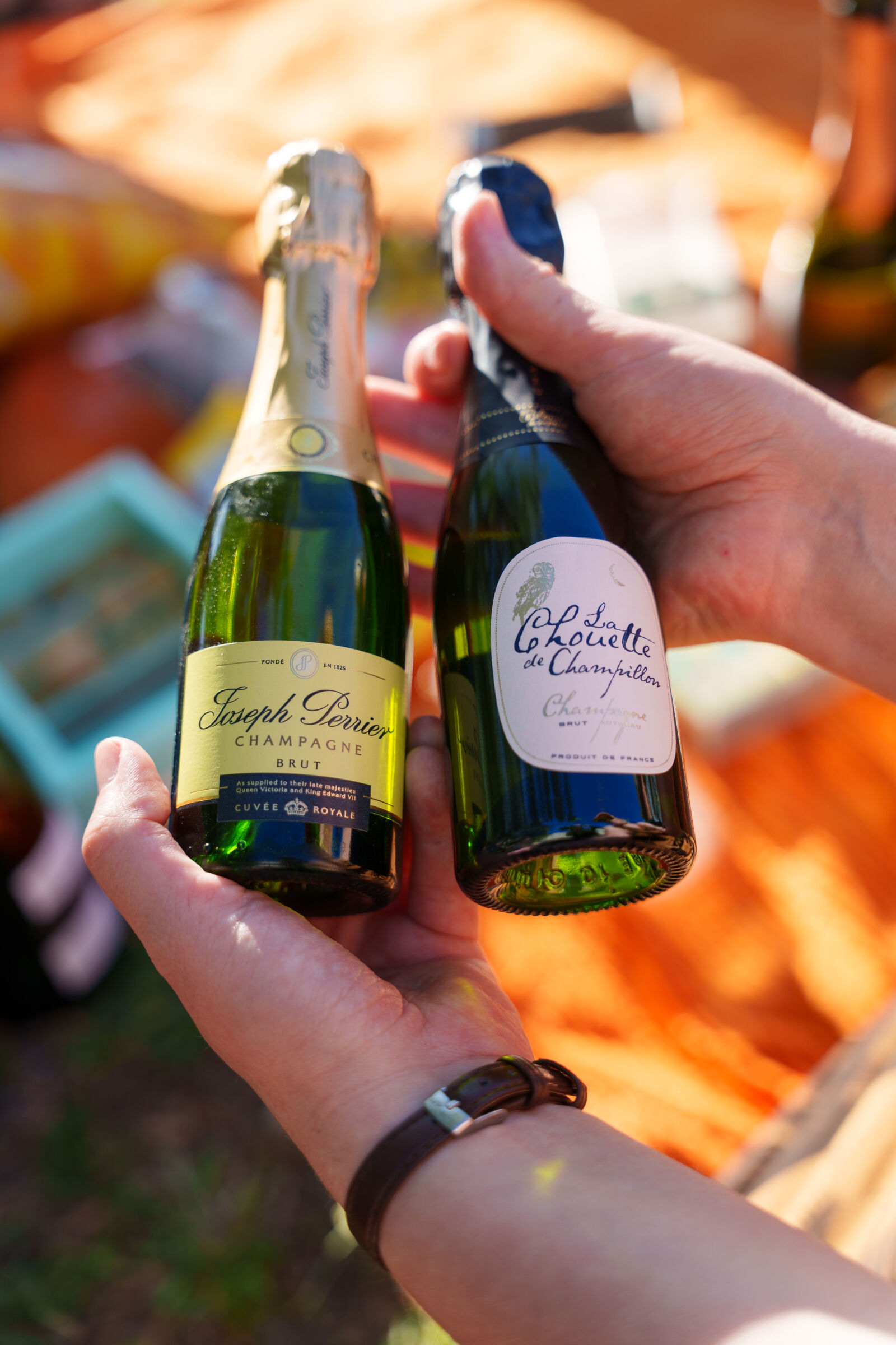 Sony a7R V sample photo. Difficult choices beverage photography