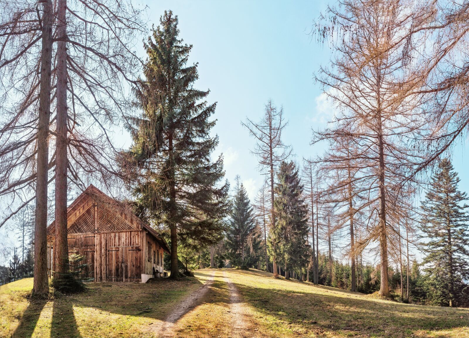 Olympus OM-D E-M1 Mark II + OLYMPUS M.25mm F1.2 sample photo. Hut, hill, salzkammergut photography