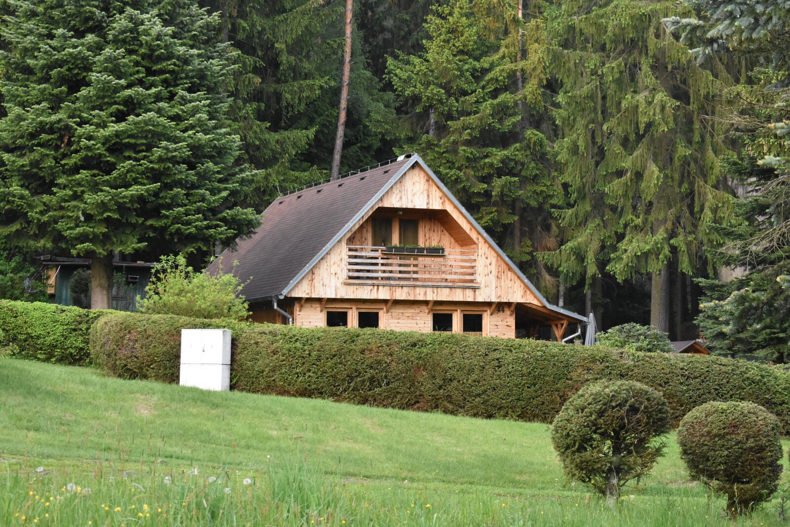 Nikon D3400 sample photo. Forest, cottage, house photography