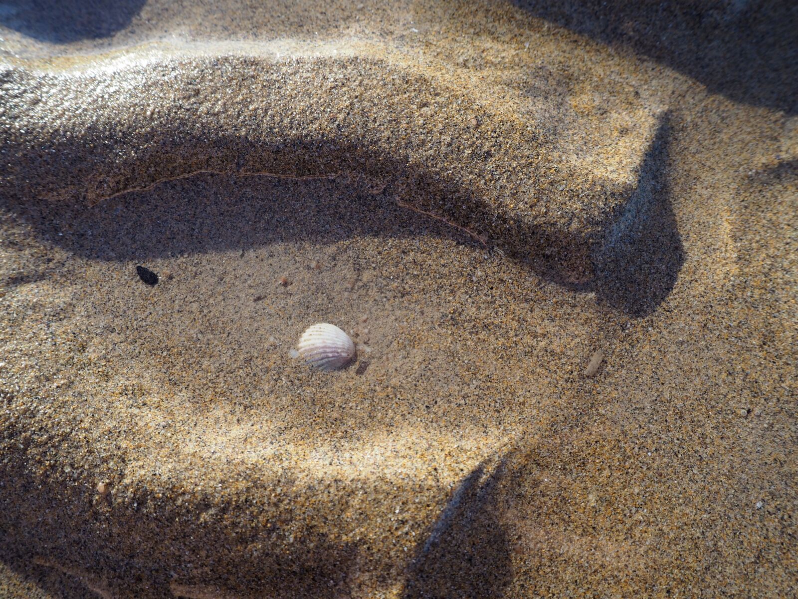 Olympus OM-D E-M10 sample photo. Ebb, sea, tides photography