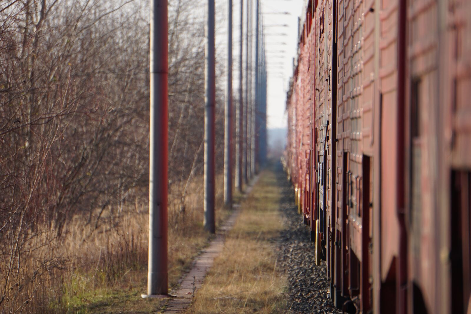 Sony a6000 sample photo. Train, railway, transport photography