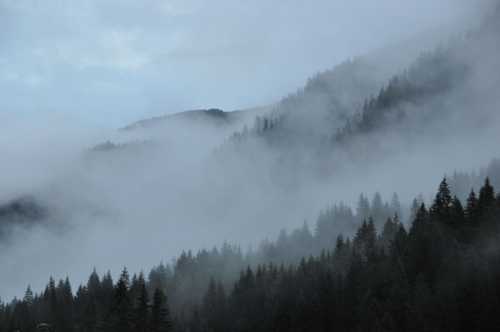 Nikon D5000 sample photo. Fog, clouds, mountains photography