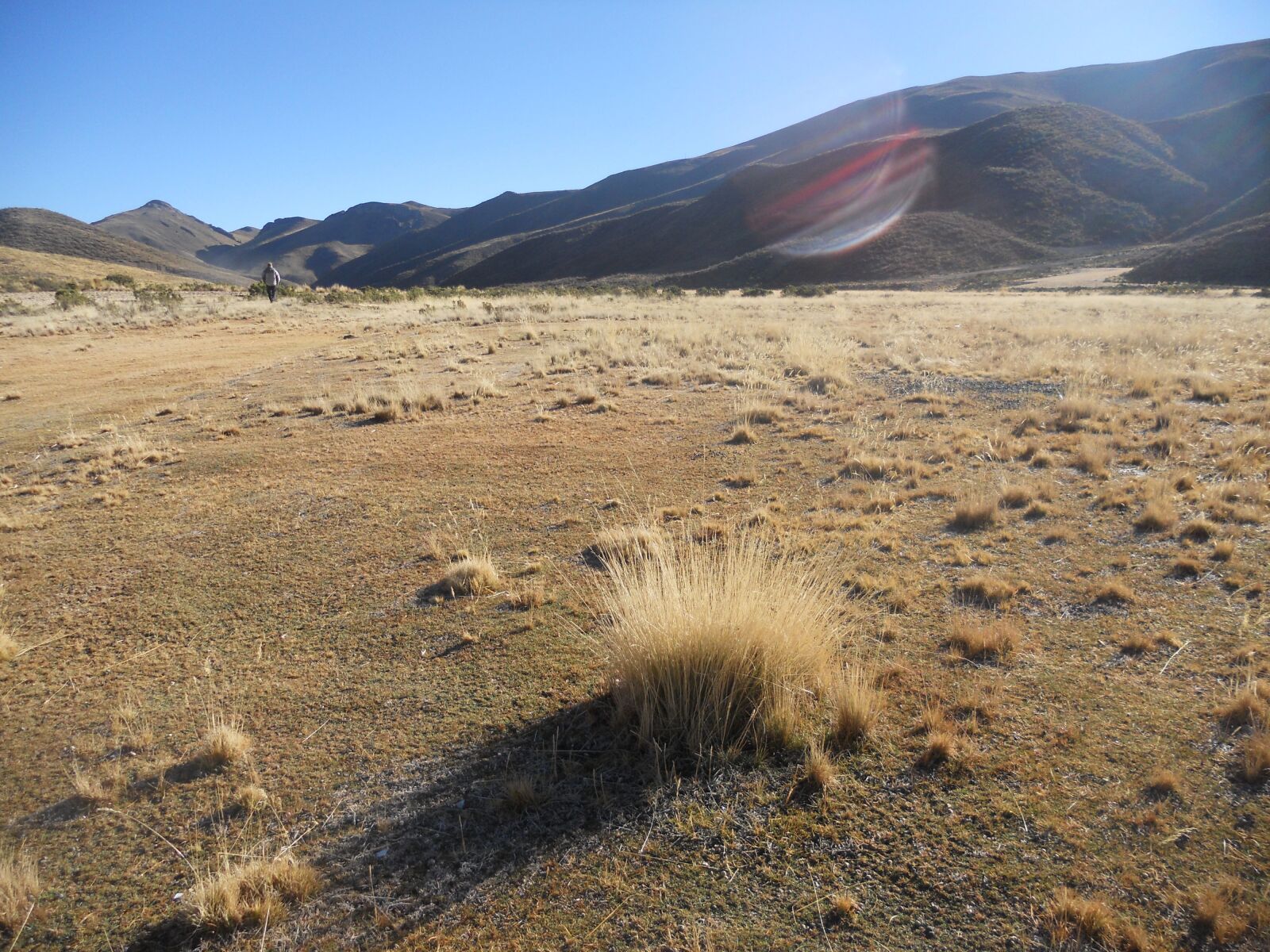 Nikon Coolpix S4000 sample photo. Highlands, bolivia, brava straw photography