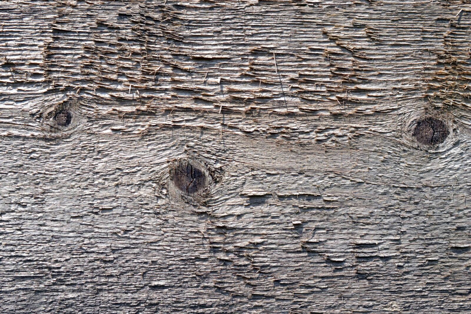 Nikon D3100 sample photo. Texture, pattern, wood knot photography