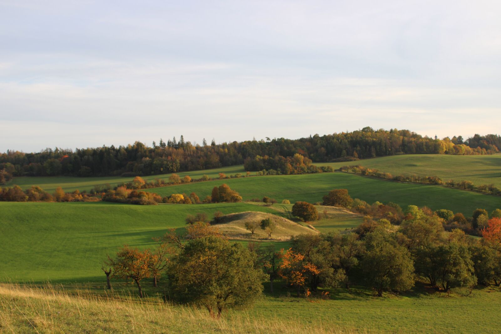 Canon EOS 2000D (EOS Rebel T7 / EOS Kiss X90 / EOS 1500D) sample photo. Panorama, thuringia germany, reported photography