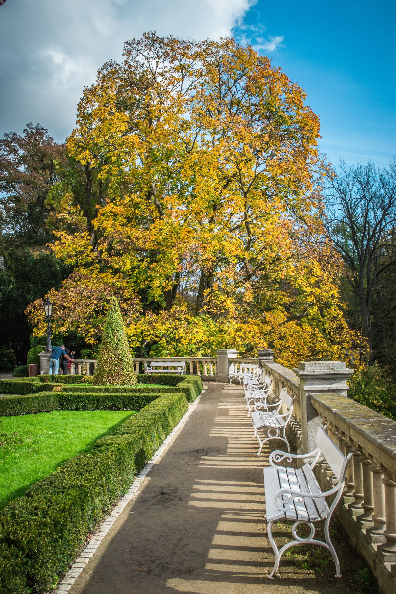 Nikon D3100 sample photo. Konopiště, castle, park photography