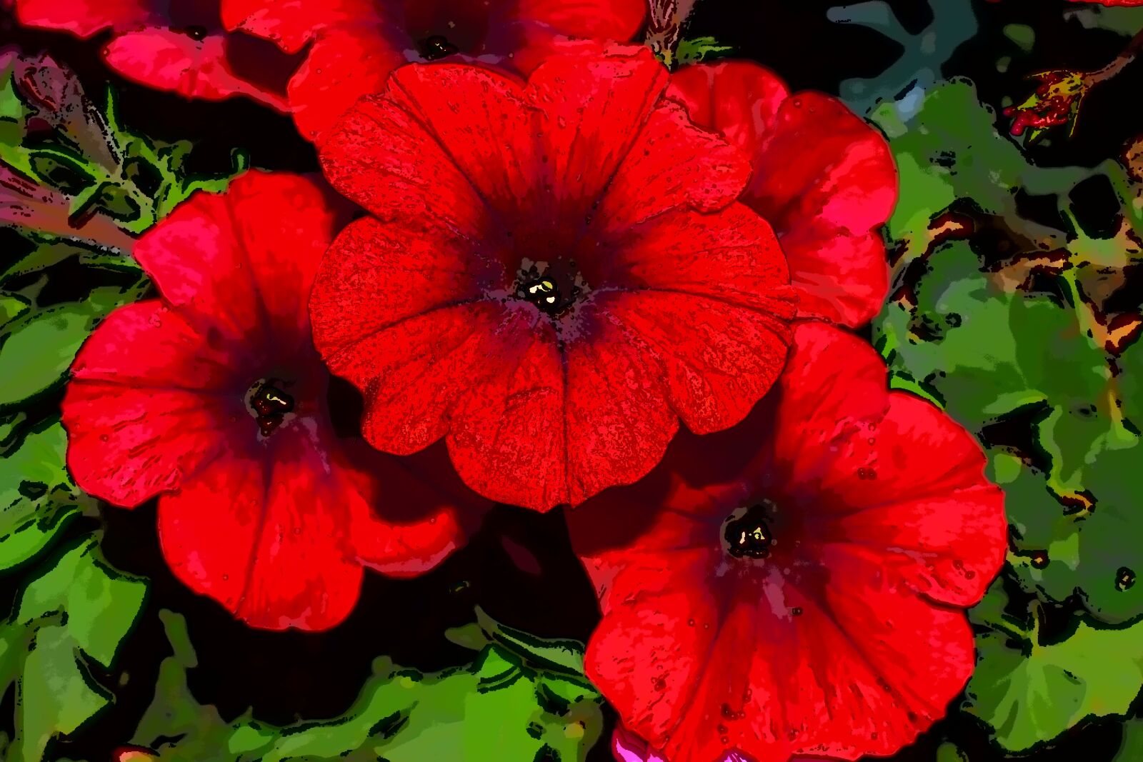 Nikon D3300 sample photo. Surfinia, red surfinia, flowers photography