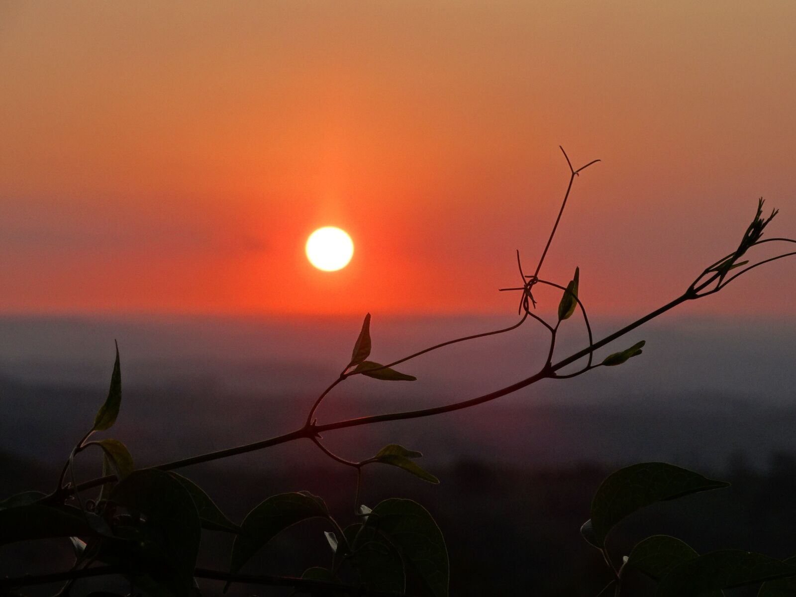 Sony Cyber-shot DSC-HX300 sample photo. Sunset, valinhos, campinas photography