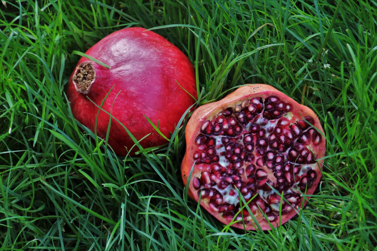 Canon EOS 80D sample photo. Pomegranate, pips, fruit photography