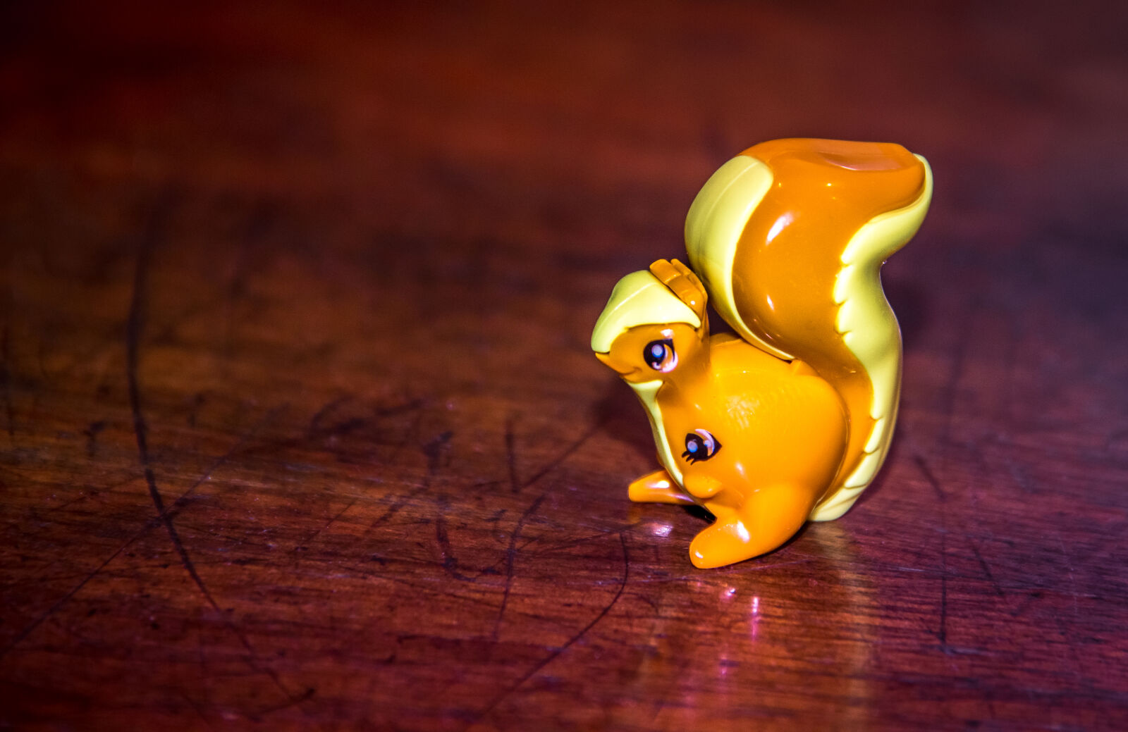 Canon EOS 600D (Rebel EOS T3i / EOS Kiss X5) sample photo. Kinder, small, squirrel, surprise photography