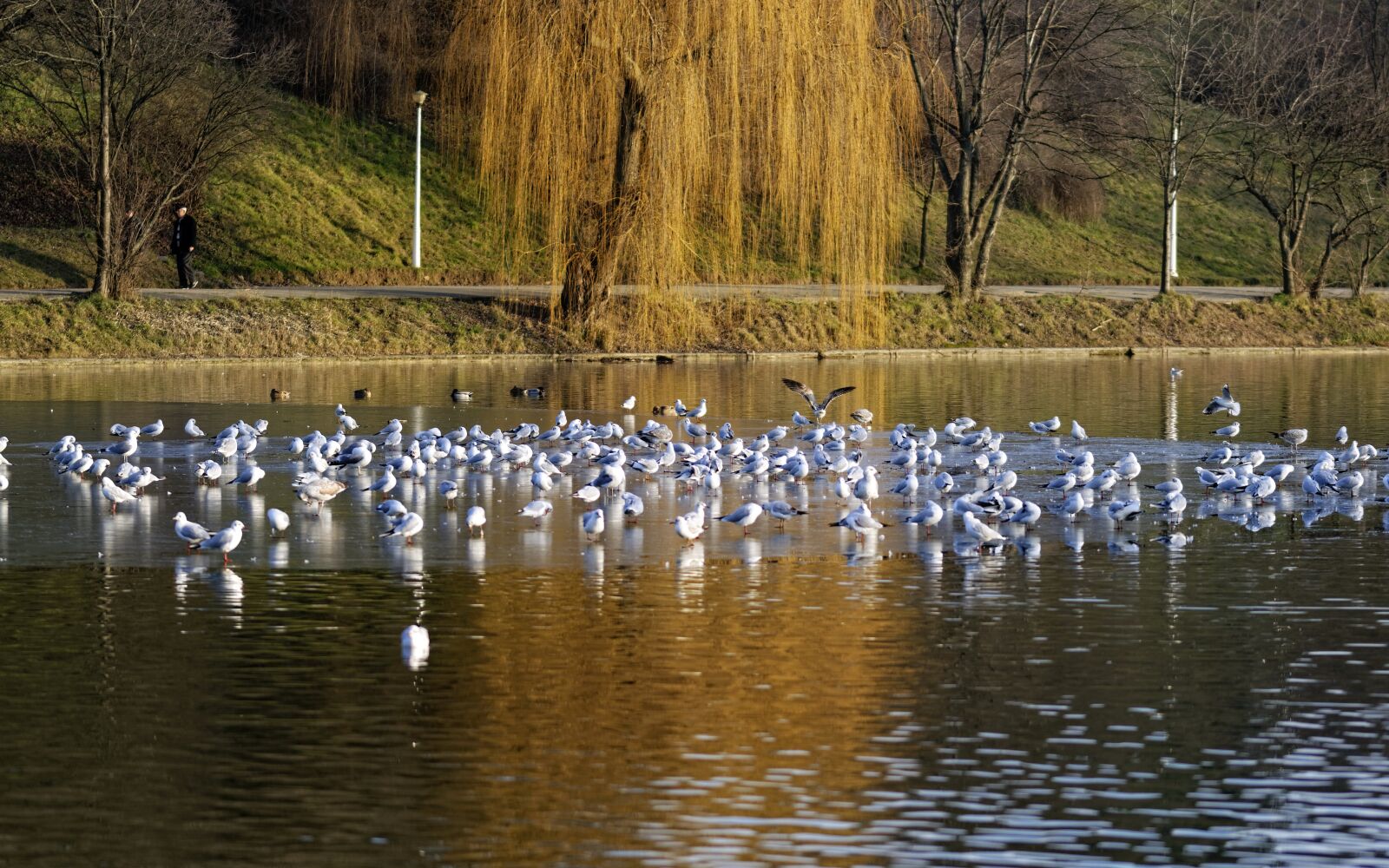 Nikon D5300 sample photo. Landscape, lake, water photography