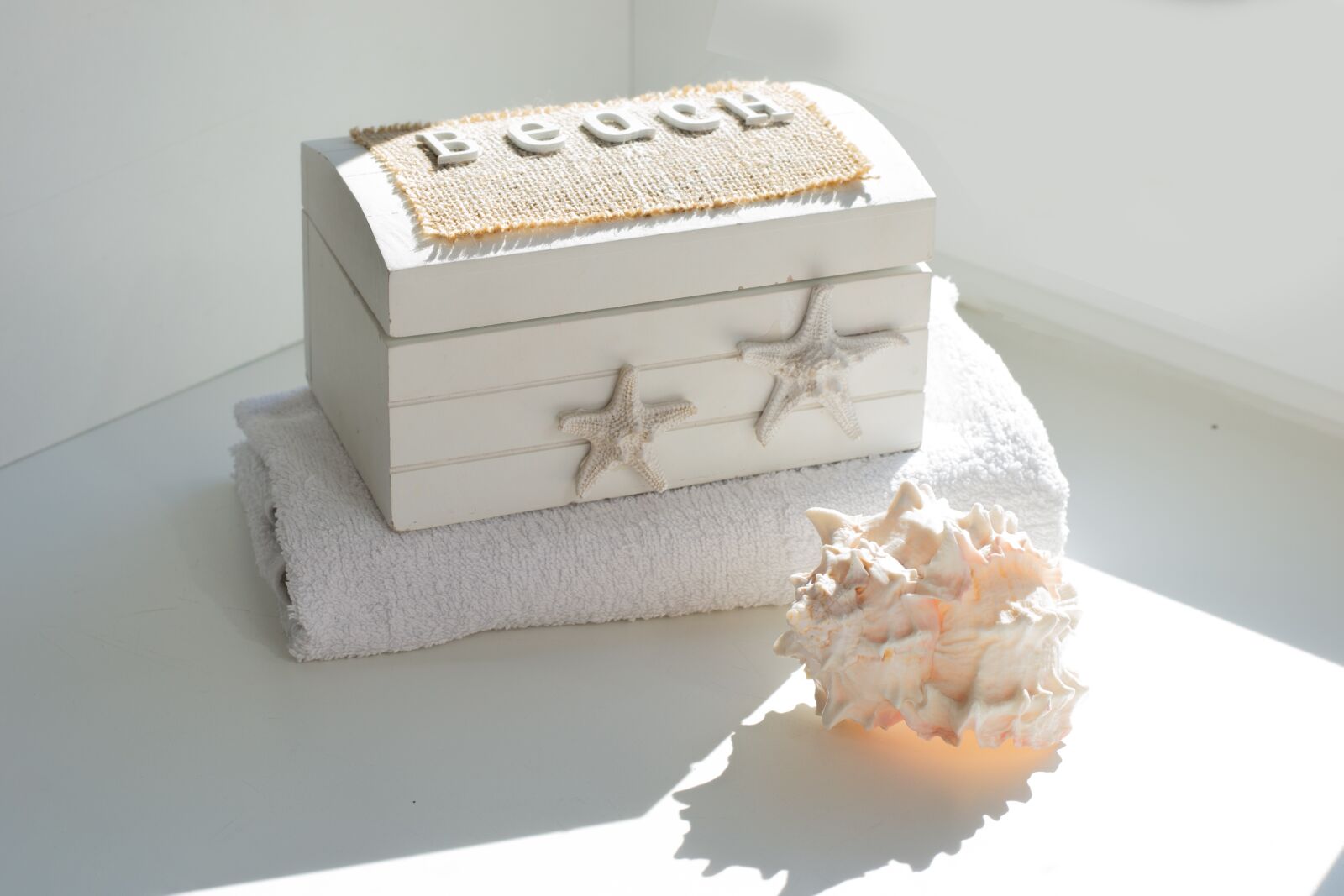 Nikon D3100 sample photo. Shell, towel, casket photography