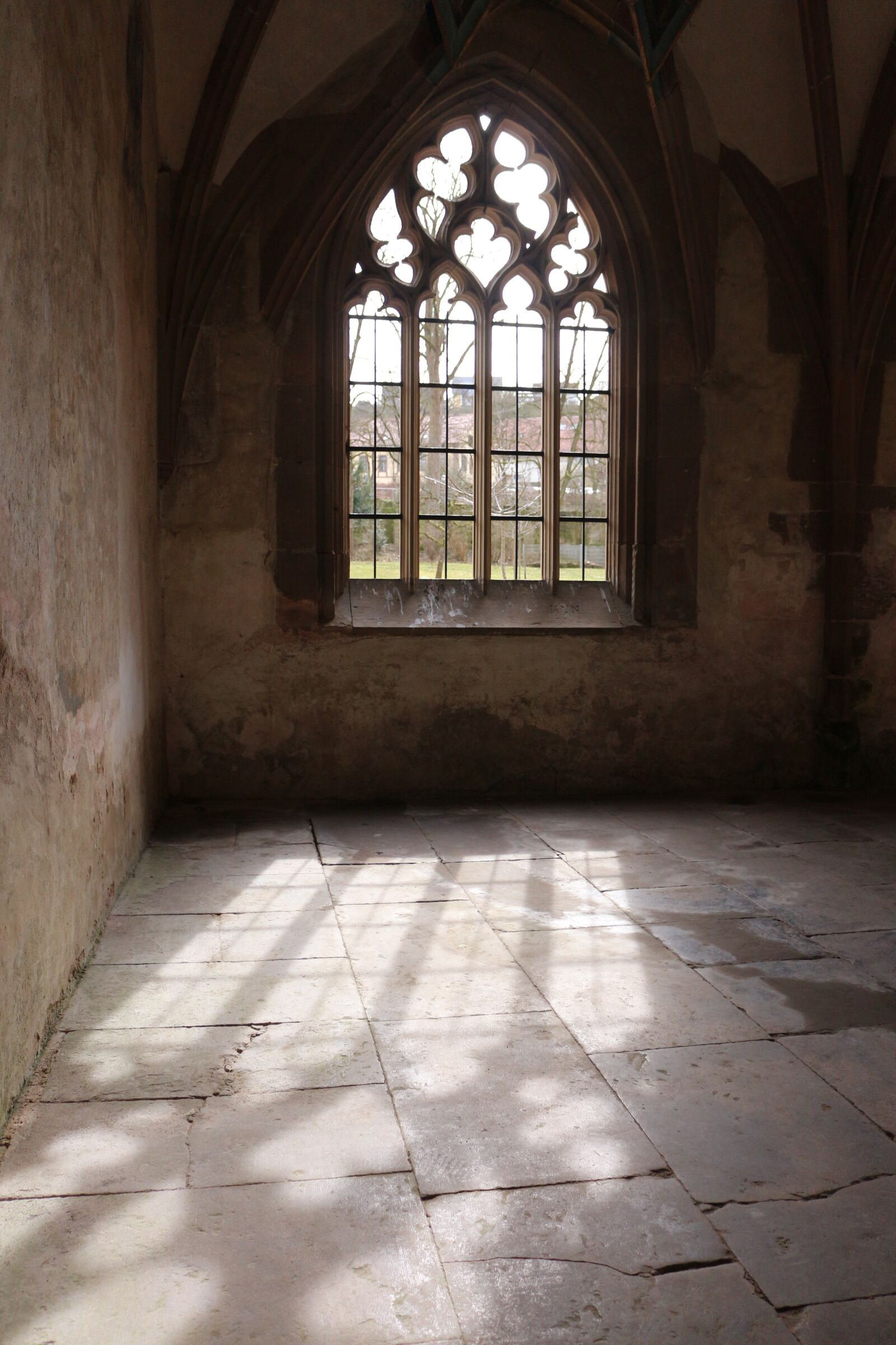 Canon EOS 700D (EOS Rebel T5i / EOS Kiss X7i) sample photo. Incidence of light, window photography