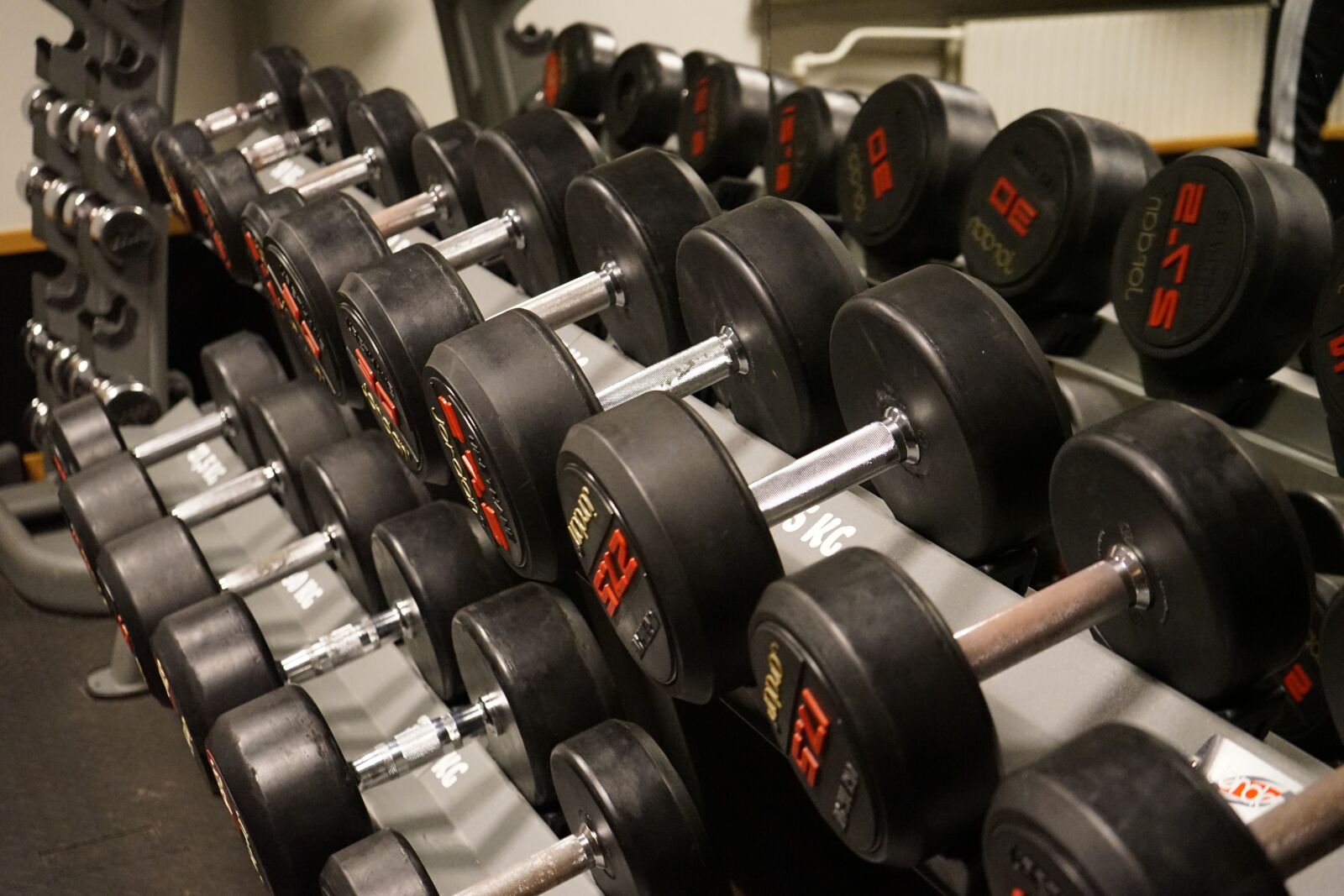 Sony a7 II + Sony FE 28-70mm F3.5-5.6 OSS sample photo. Dumbbells, training, black photography