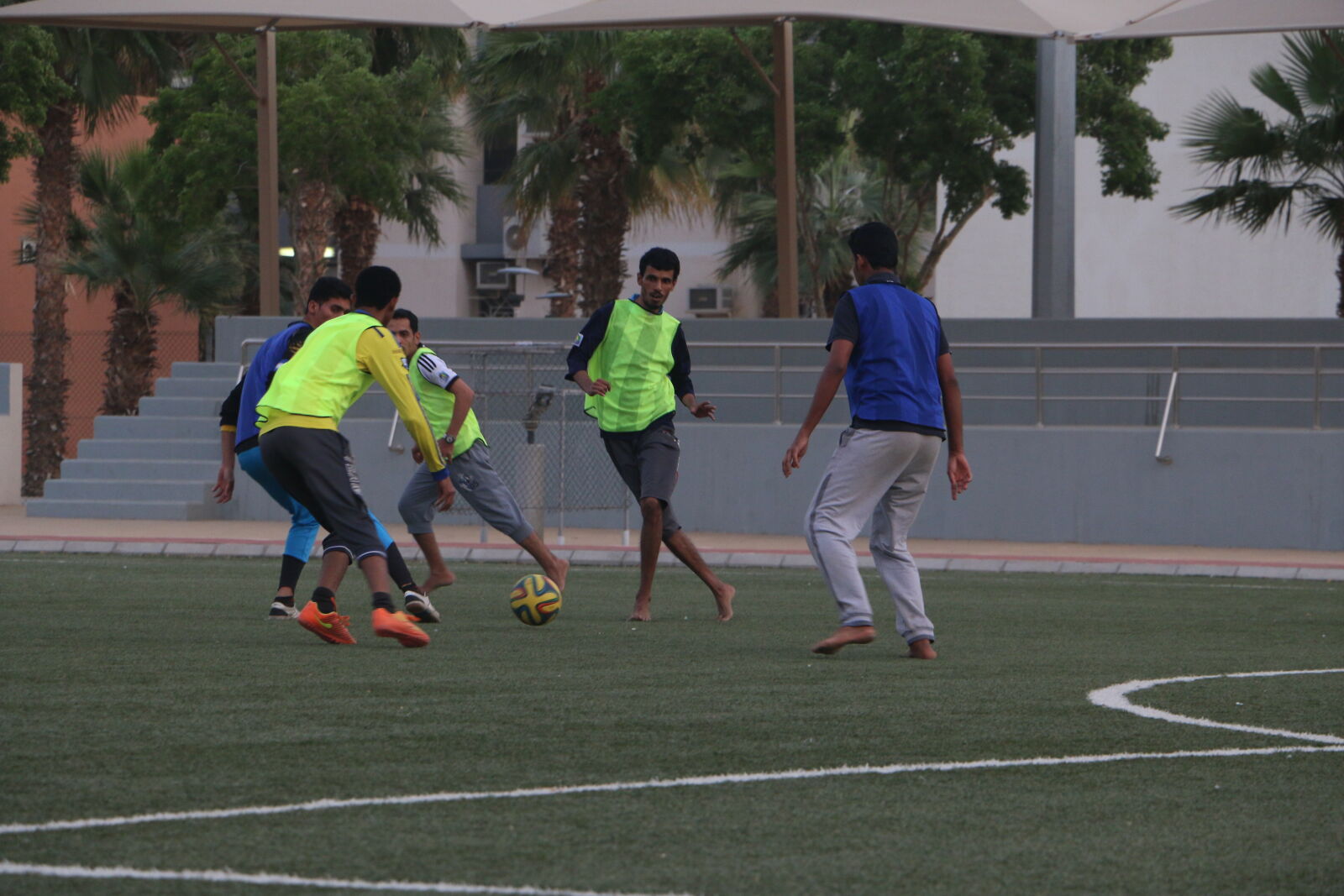Canon EOS 70D sample photo