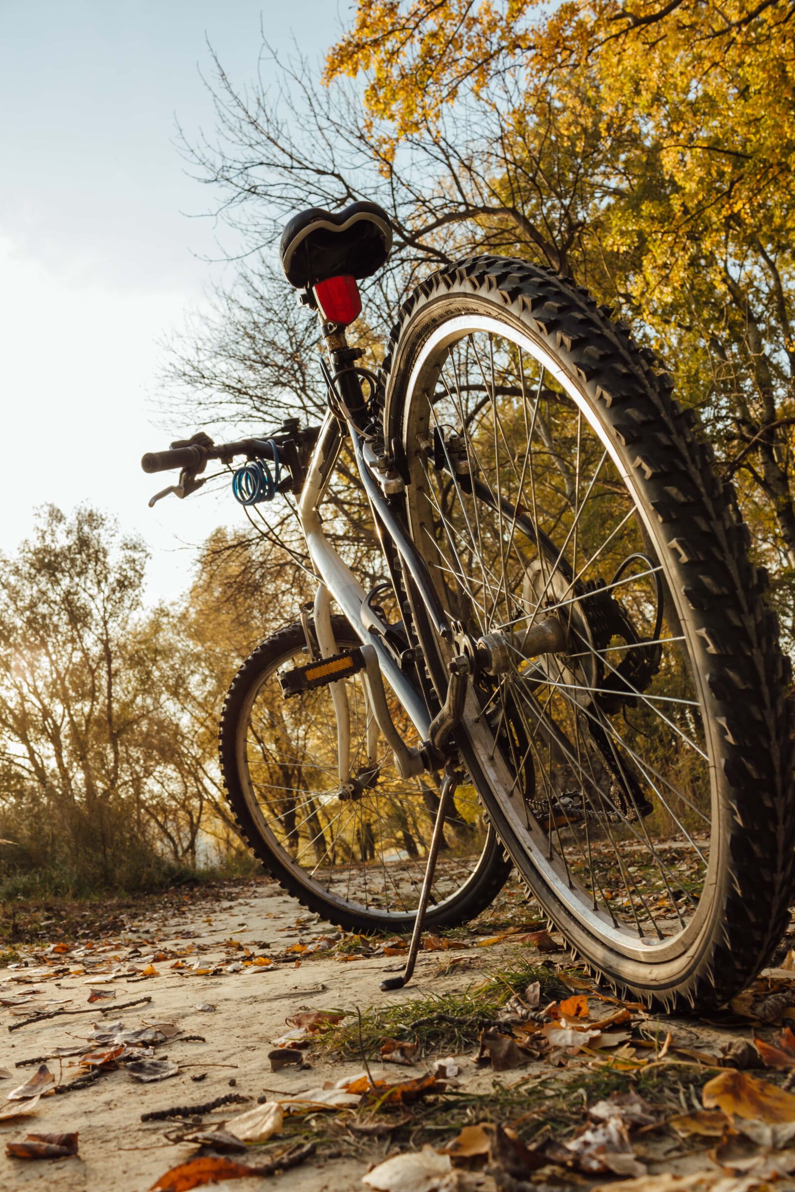 Canon EF-S 18-55mm F3.5-5.6 IS sample photo. Mountain bike, tire, sport photography