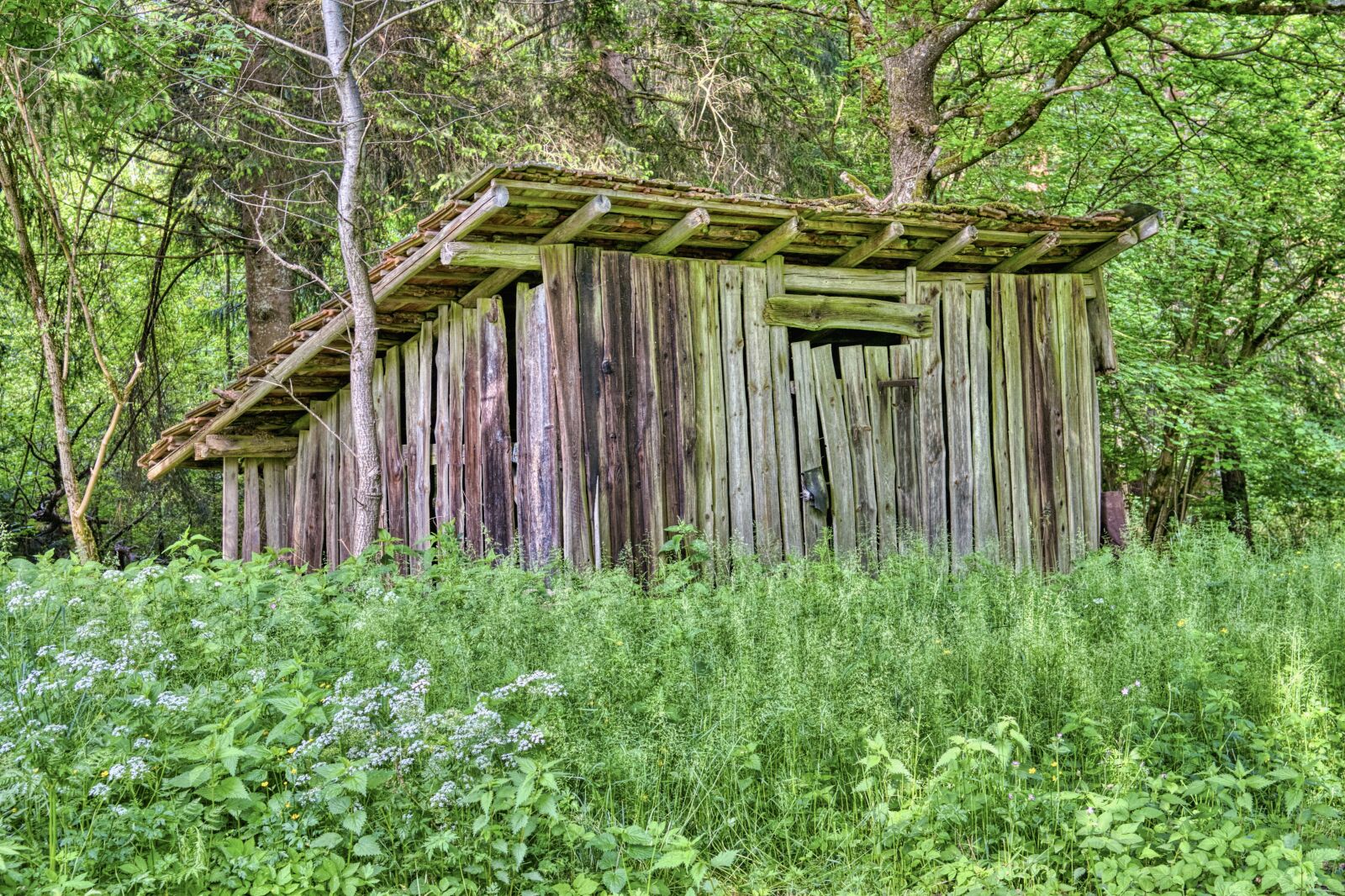 Nikon D7500 sample photo. Hut, forest, nature photography