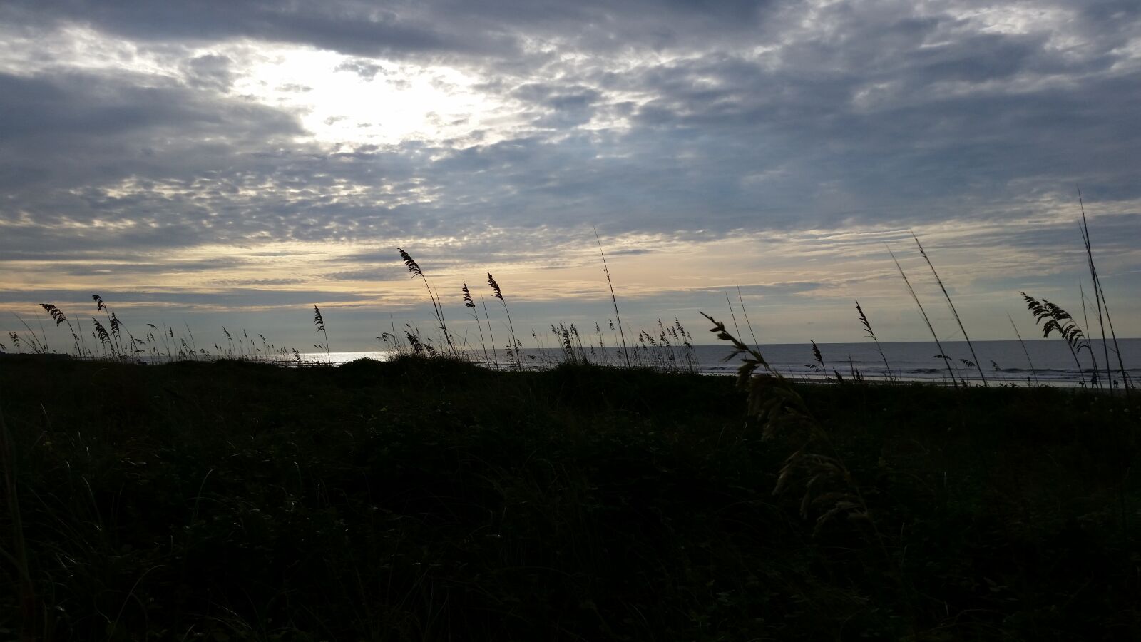 Samsung Galaxy S5 sample photo. Isle of palms, charleston photography