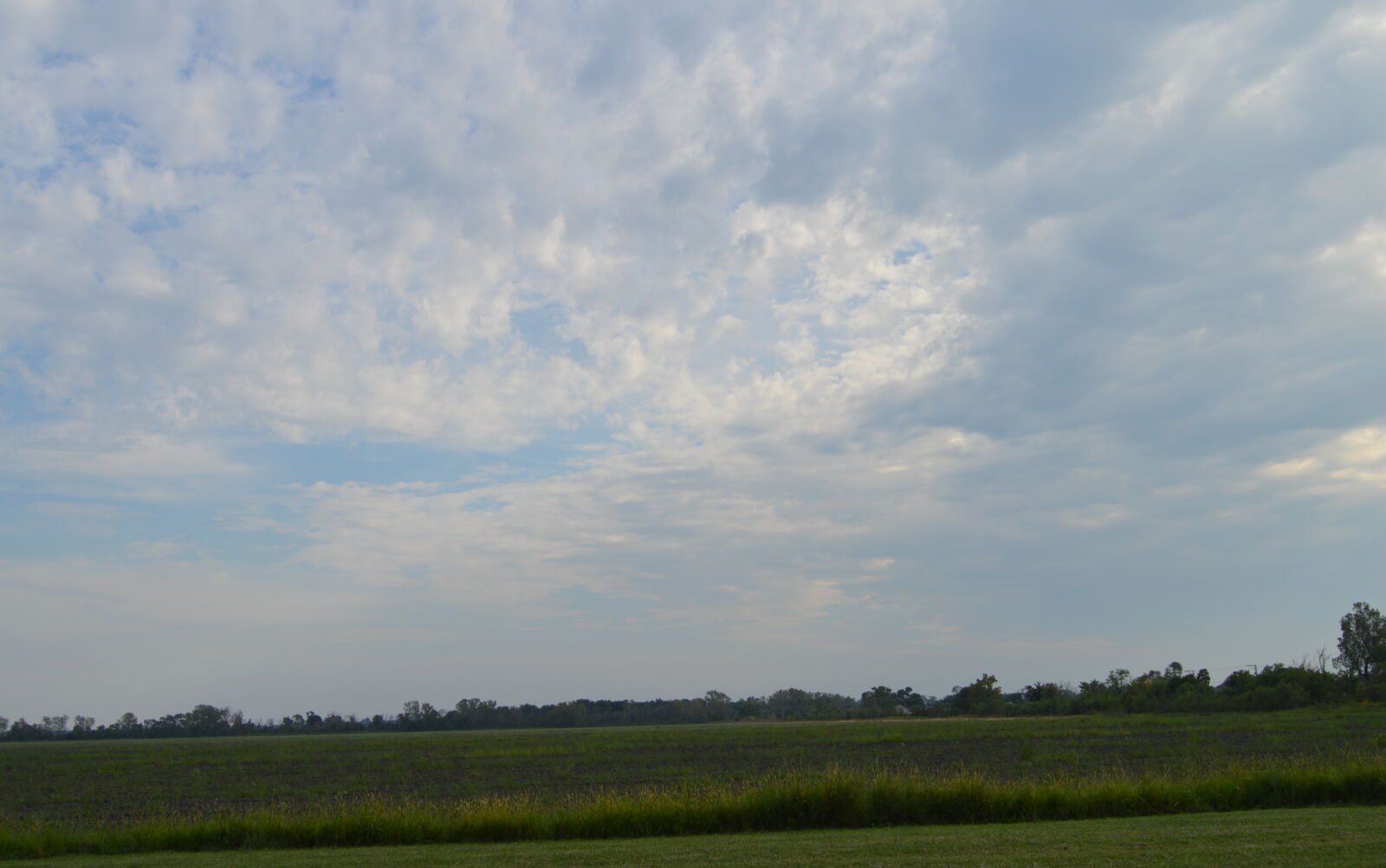 Nikon D3200 sample photo