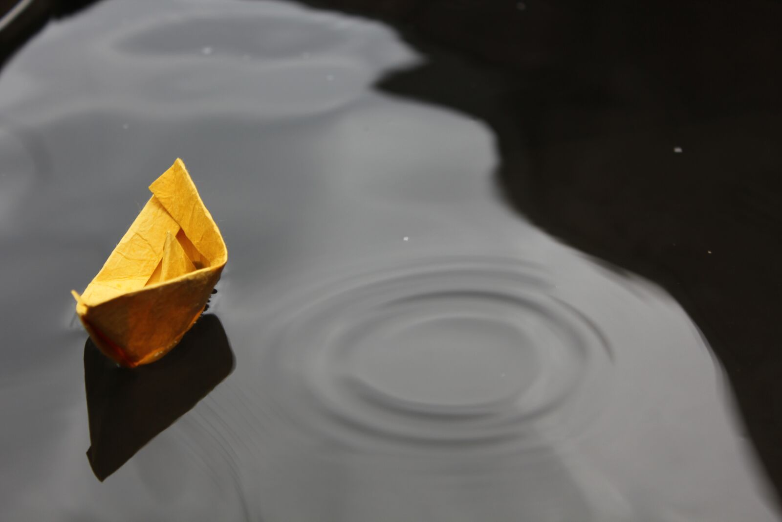 Canon EOS 550D (EOS Rebel T2i / EOS Kiss X4) sample photo. Paper, boat, origami photography