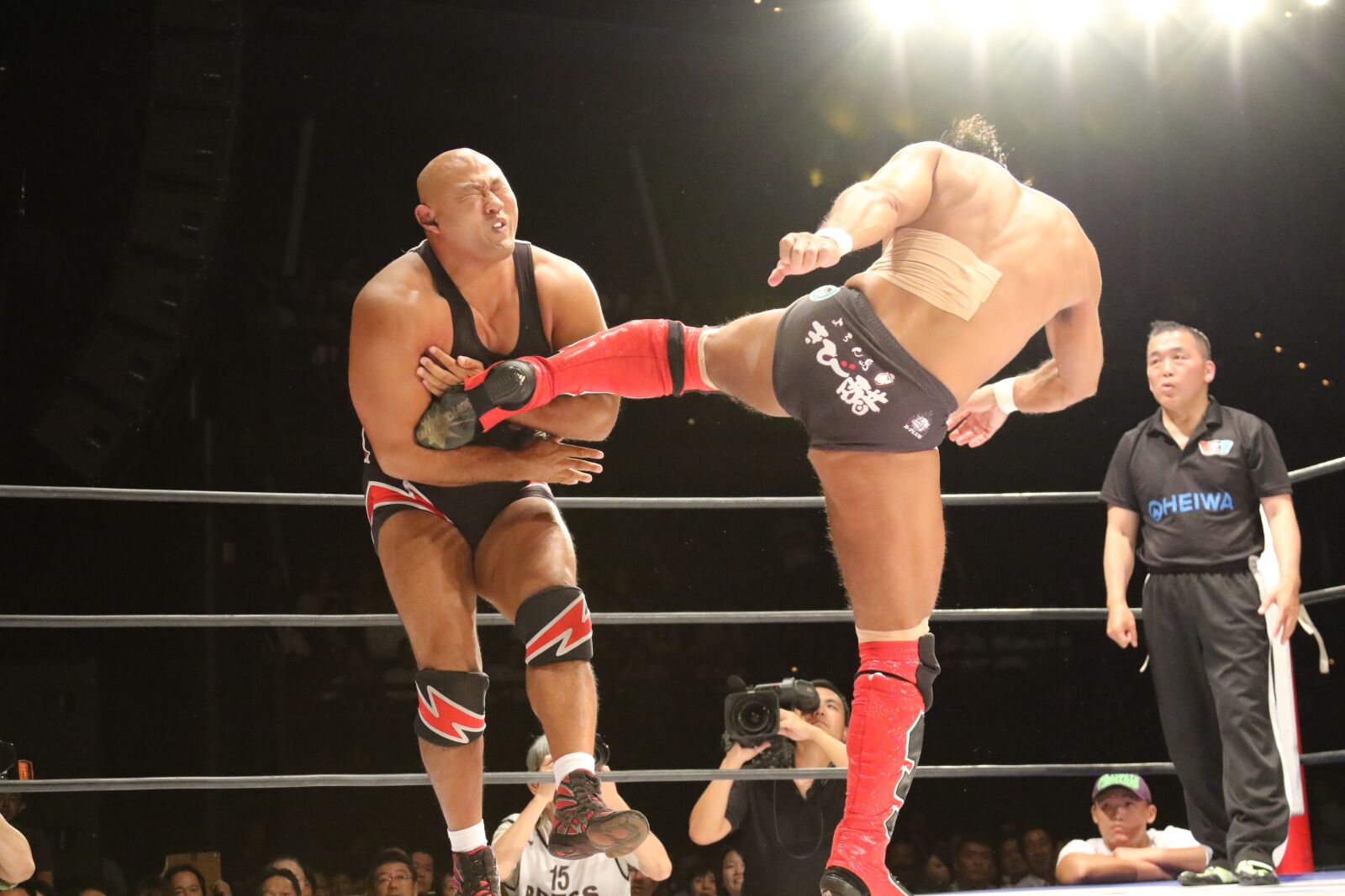 Canon EOS 7D Mark II sample photo. Ring, fight, pro wrestling photography