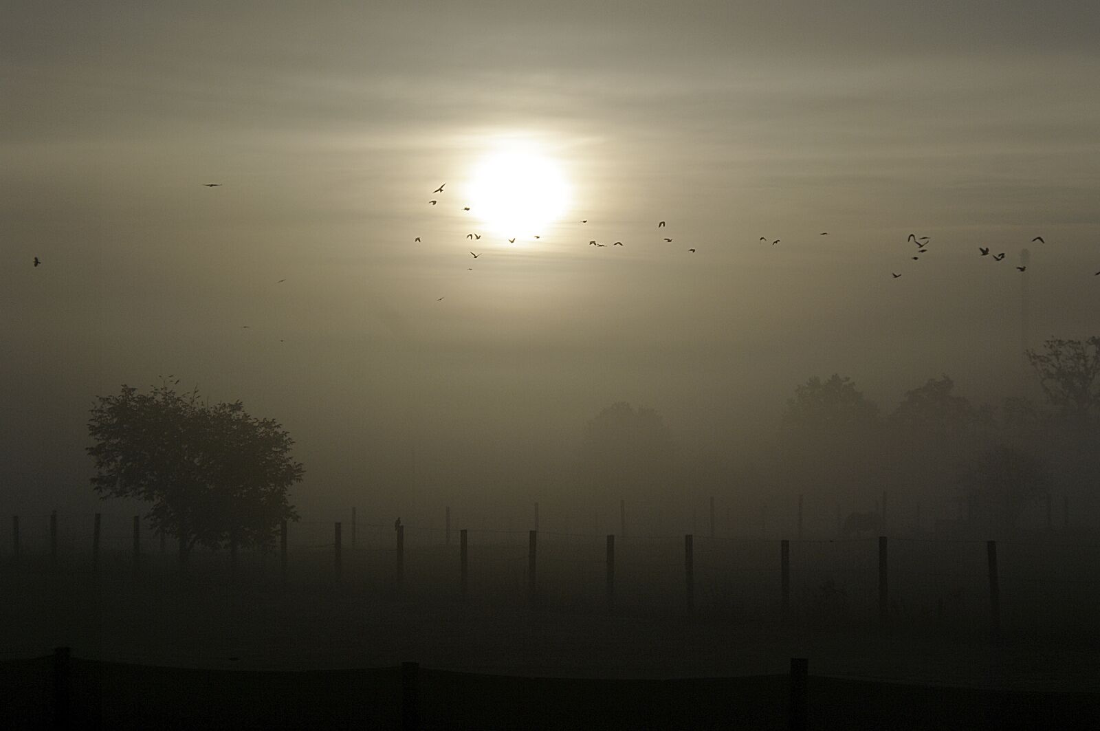 Pentax K20D sample photo. Landscape, morning, sunrise photography