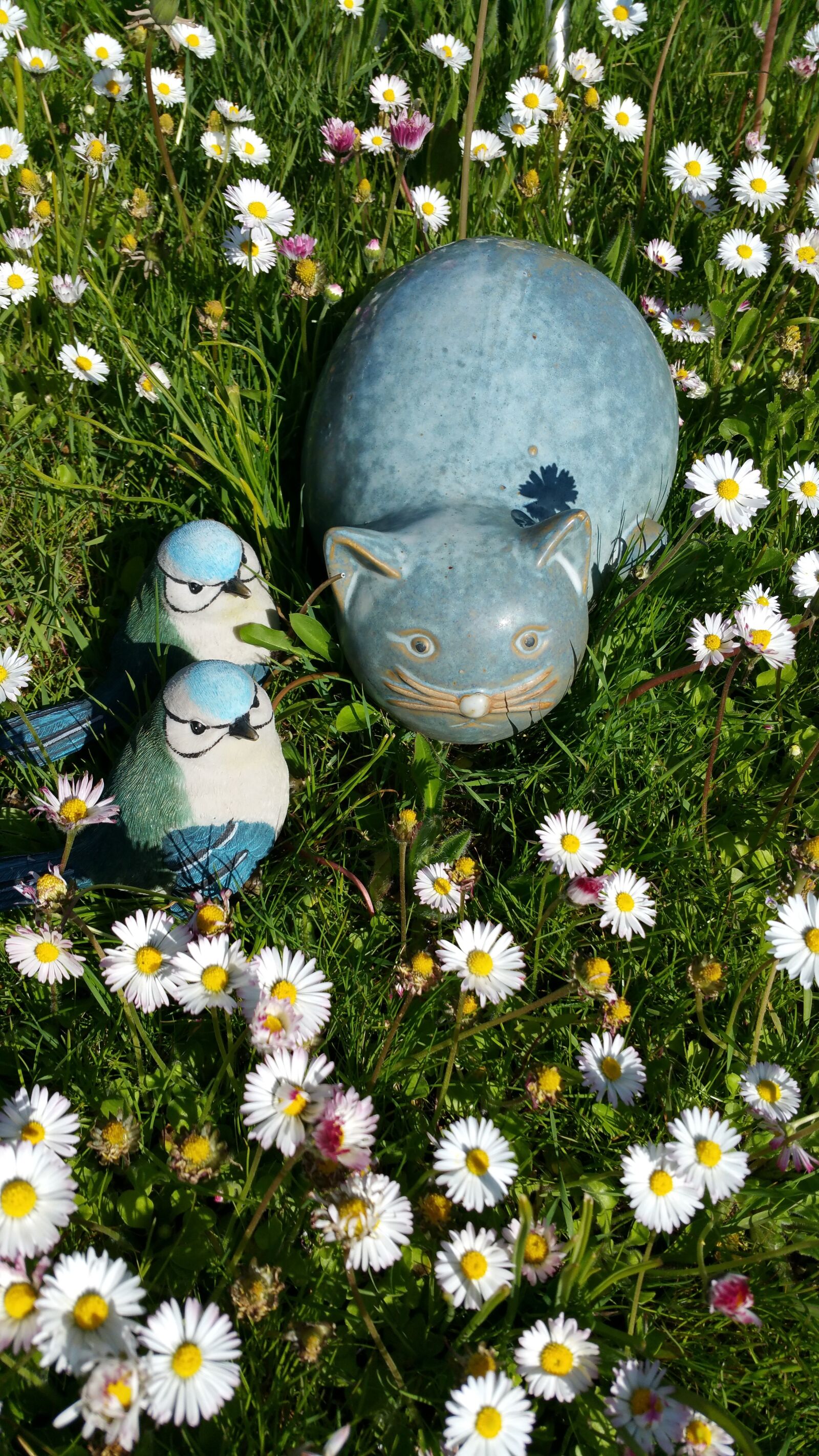 Samsung Galaxy Note4 sample photo. Cat, birds, figures photography