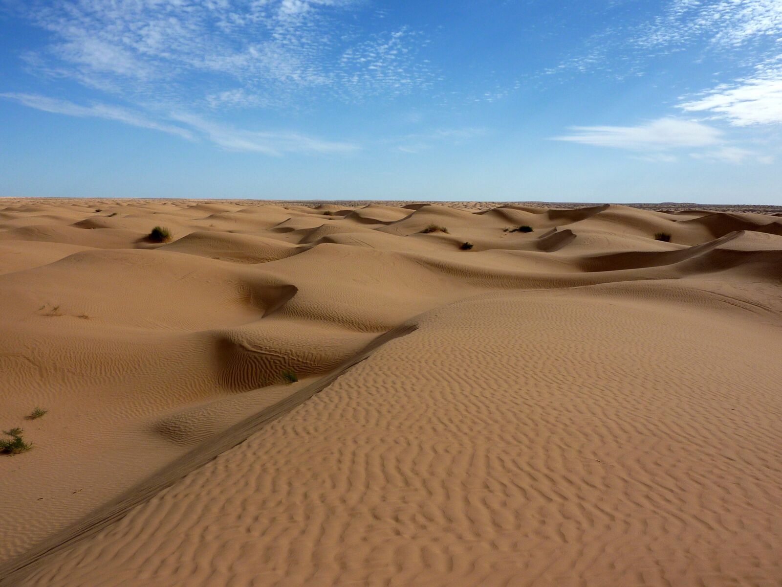 Panasonic DMC-TZ7 sample photo. The great desert, sahara photography