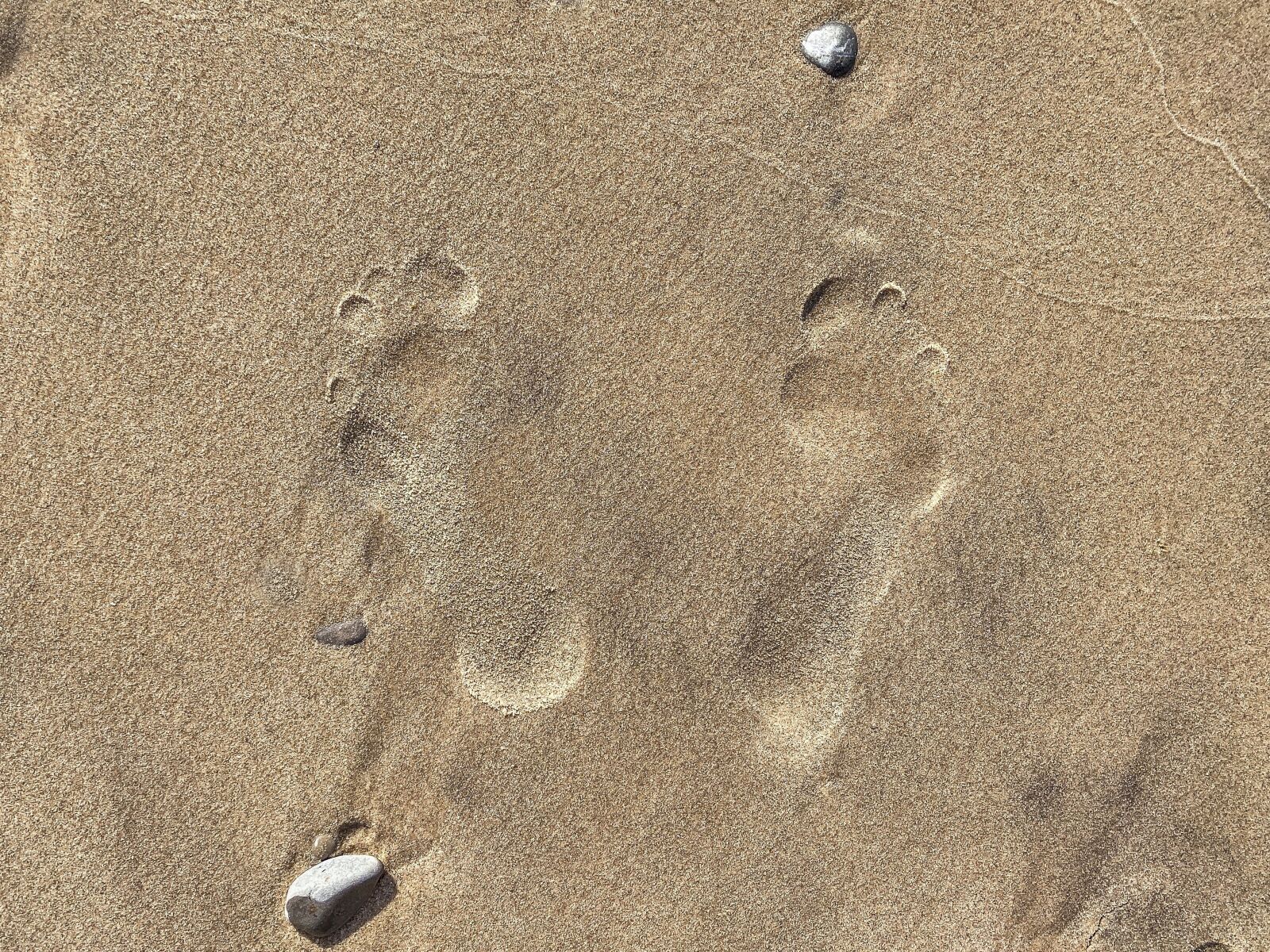 iPhone 11 Pro back triple camera 4.25mm f/1.8 sample photo. Footprints, sand, beach photography