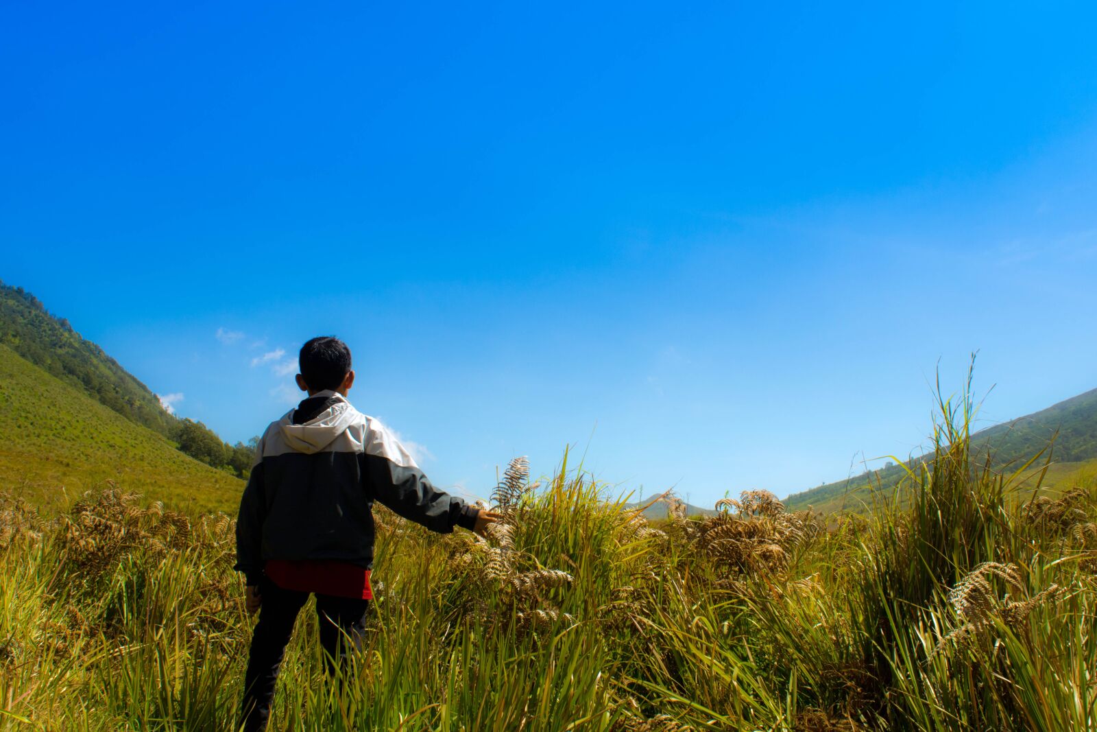 Nikon D5200 sample photo. Savana, hill, mountains photography