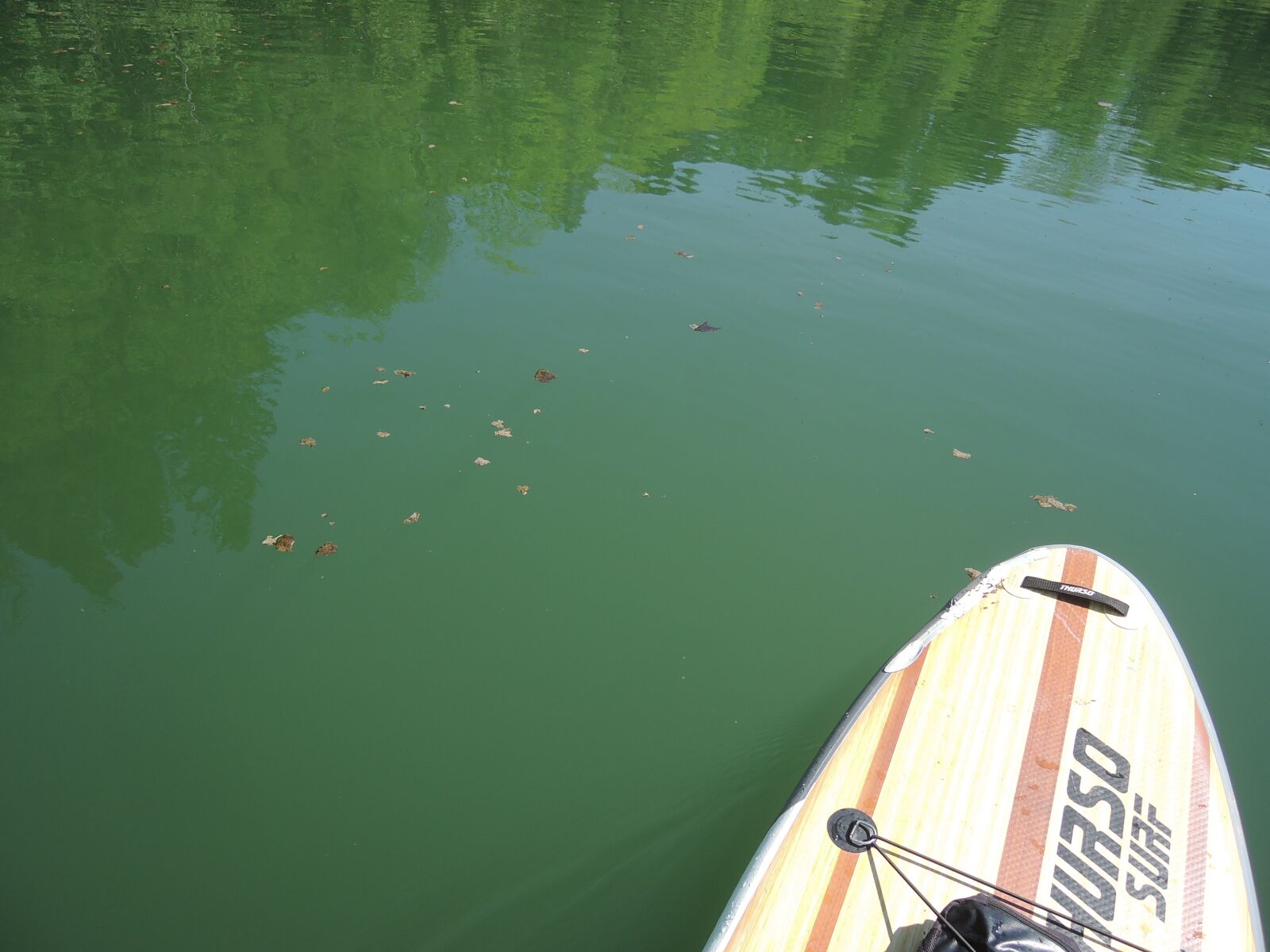 Nikon Coolpix P330 sample photo. Isup, river, stand-up paddle photography