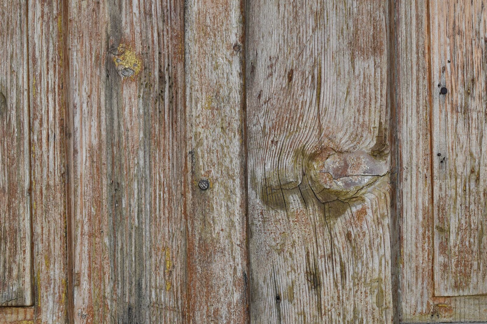 Nikon D5500 sample photo. Hardwood, knot, oak, old photography