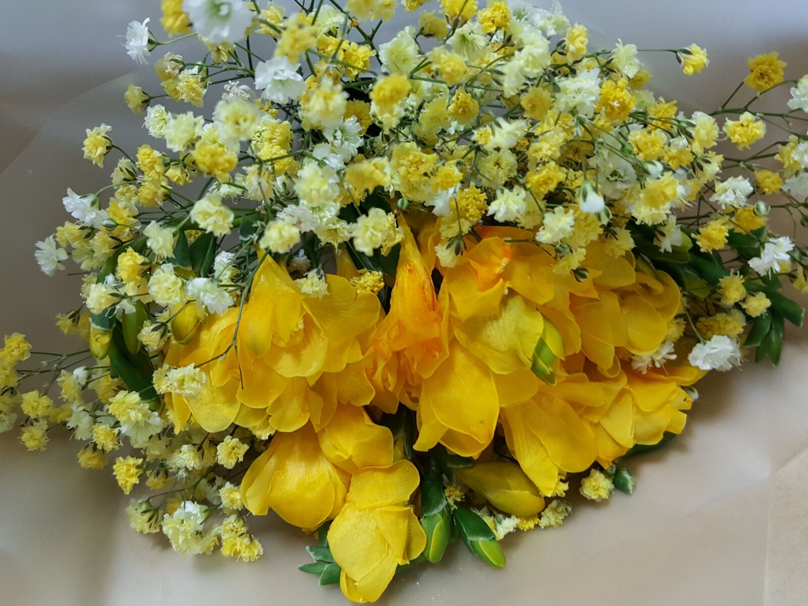 Samsung Galaxy Note5 sample photo. Flowers, yellow, yellow flower photography