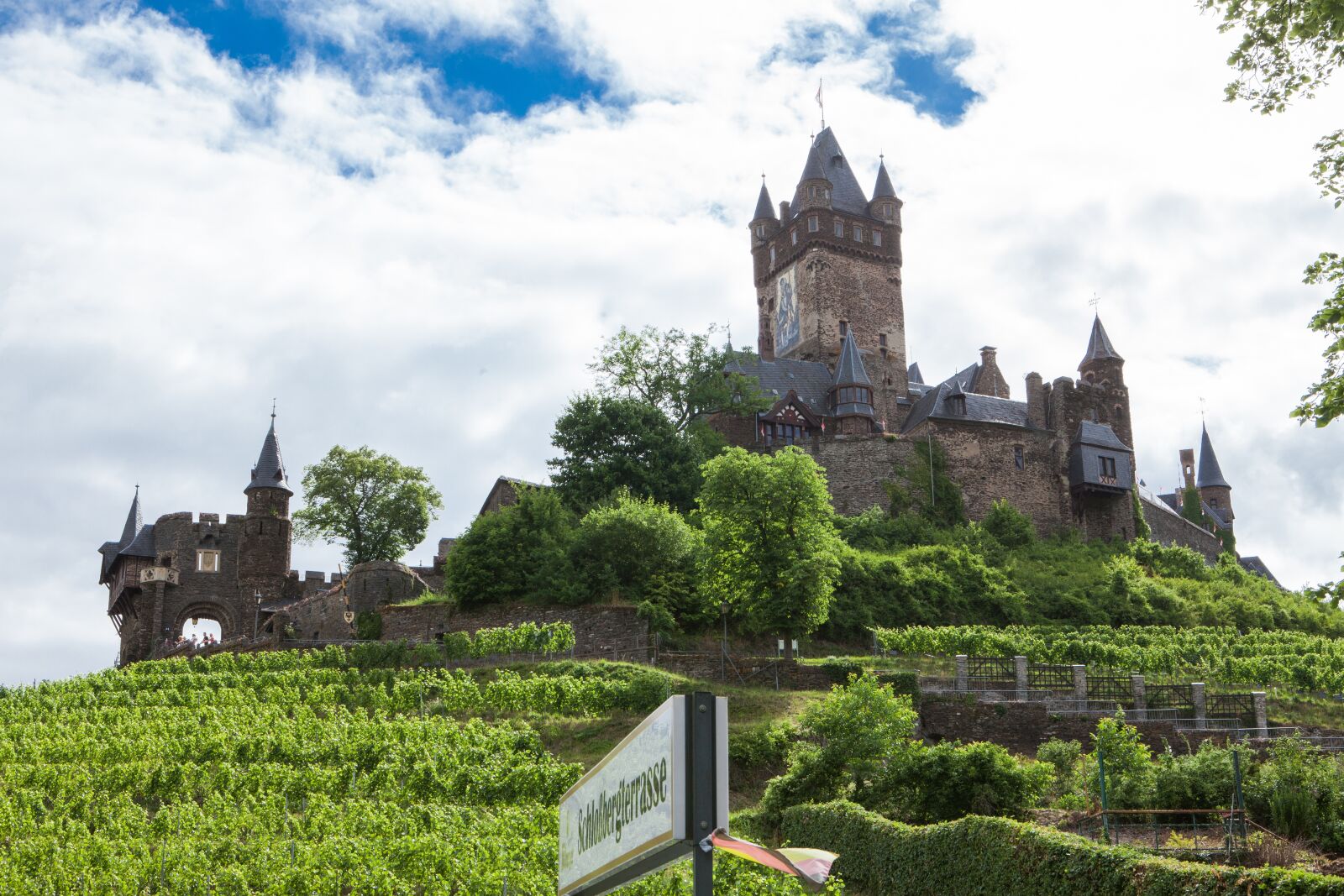 Canon EOS 5D Mark II sample photo. Vineyard, castle, winegrowing photography