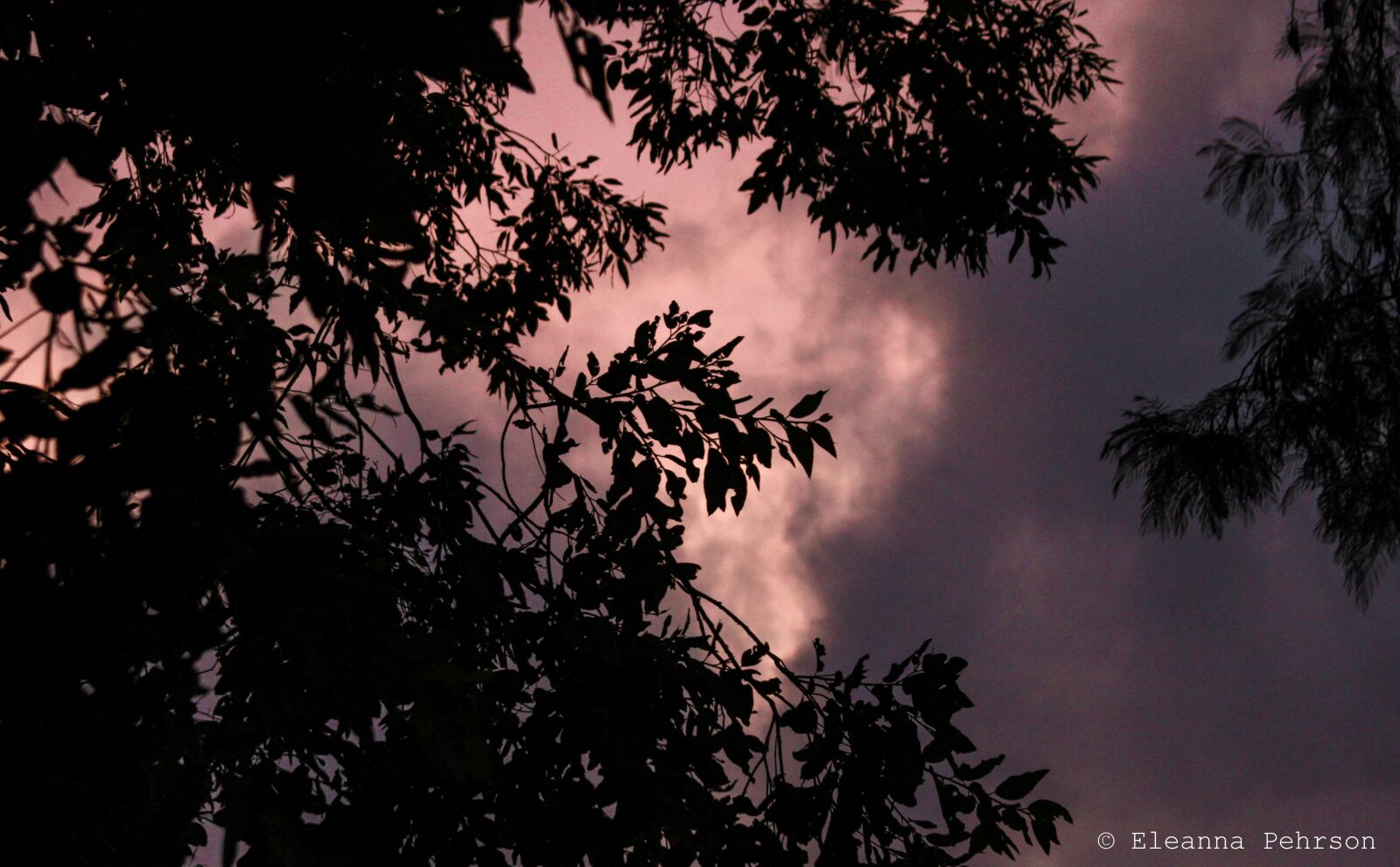 Canon EOS 7D + Canon EF 28-135mm F3.5-5.6 IS USM sample photo. Purple, sunset, tree photography