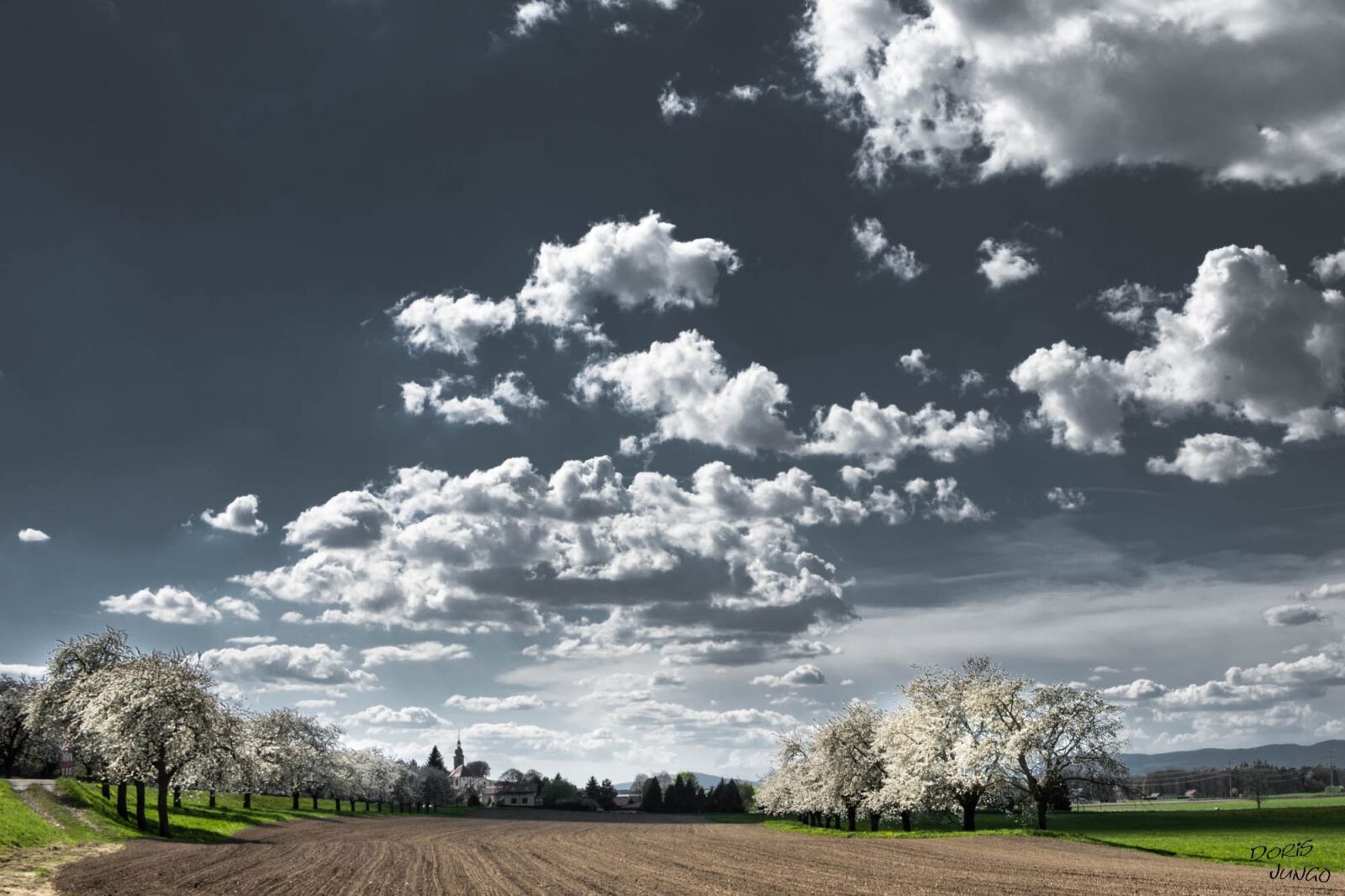 Nikon D7200 sample photo. Clouds, cherry blossoms, trees photography