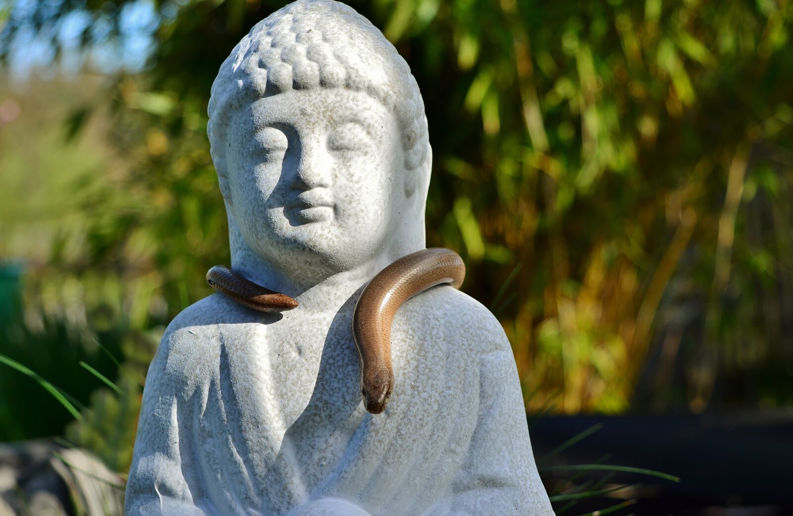 Nikon D5200 sample photo. Sculpture, slow worm, garden photography