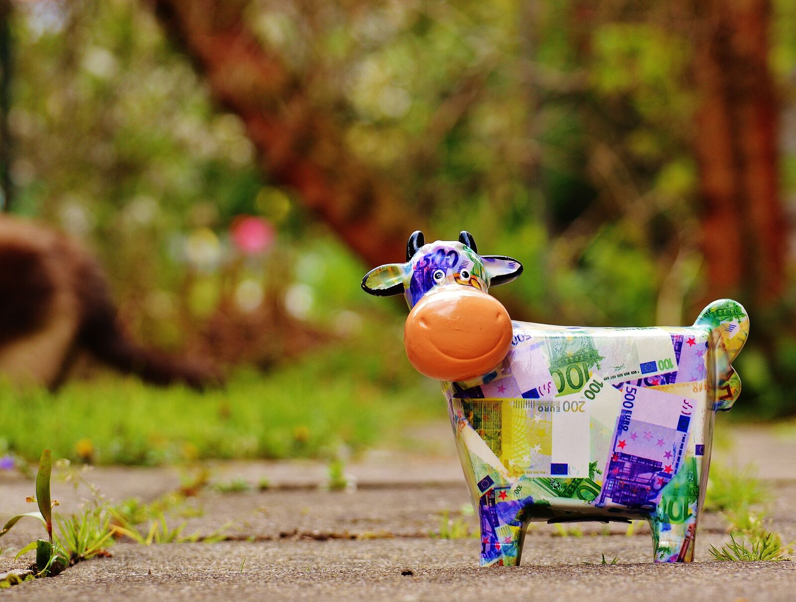 Nikon D3200 sample photo. Cow, save, money photography