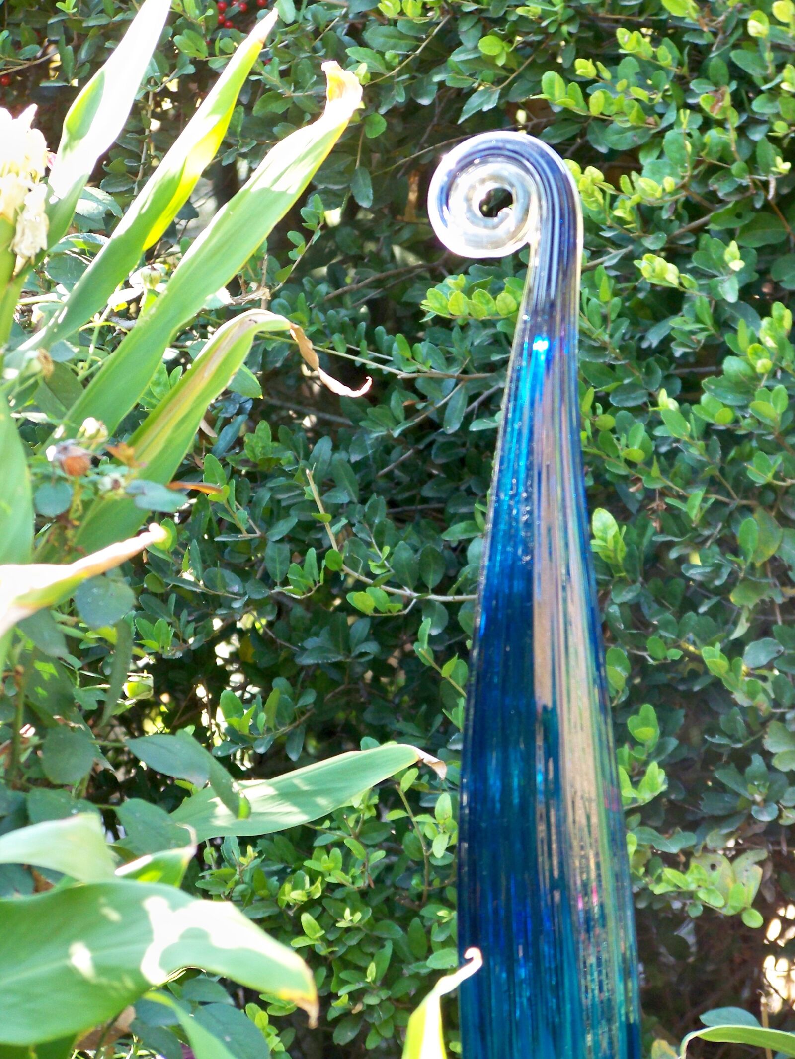 Kodak EASYSHARE Z1012 IS DIGITAL CAMERA sample photo. Chihuly, art-glass, glass-curl photography
