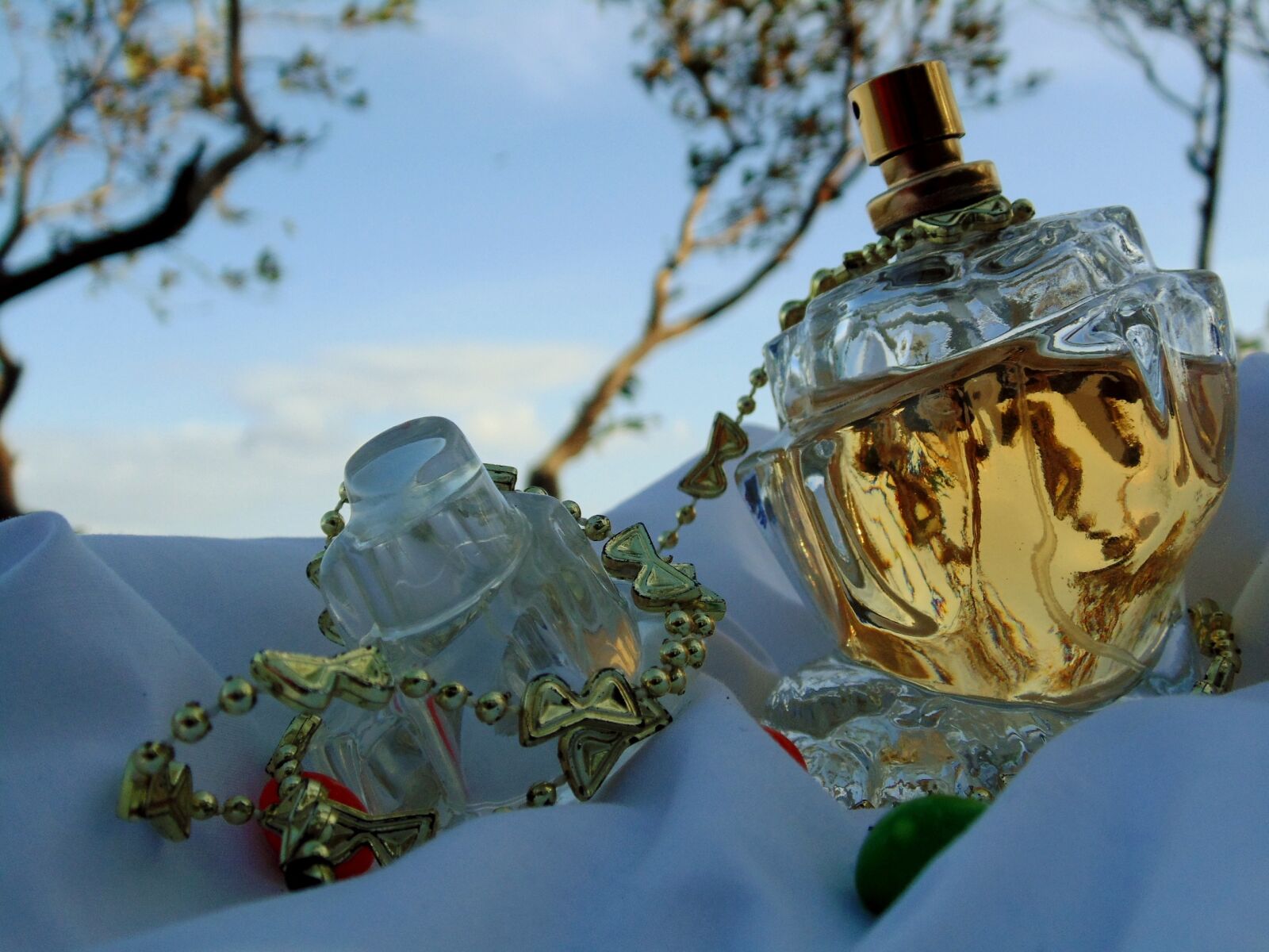 Sony Cyber-shot DSC-H200 sample photo. Perfume, clouds, sky photography