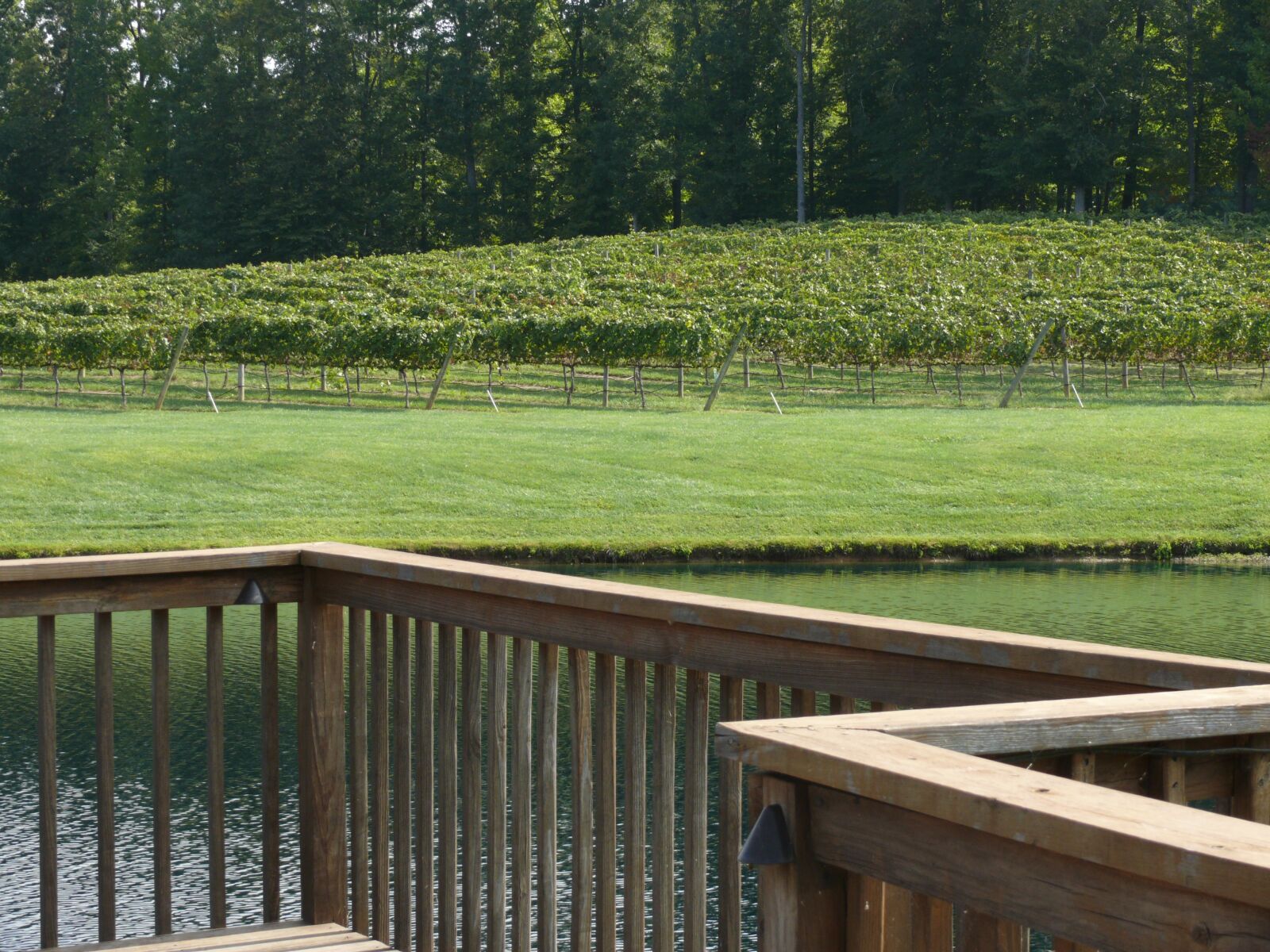Leica V-LUX 1 sample photo. Winery, vineyard, deck photography