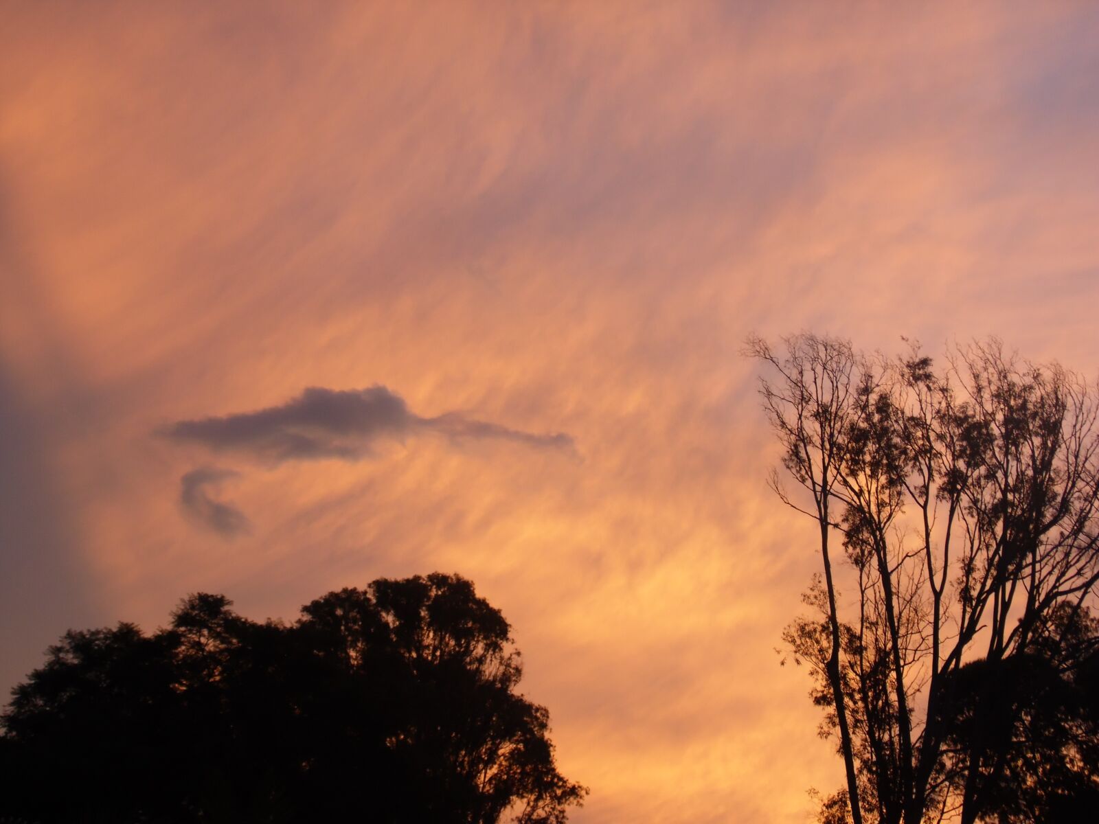 Samsung WB100/  WB101 sample photo. Sunset, heaven photography