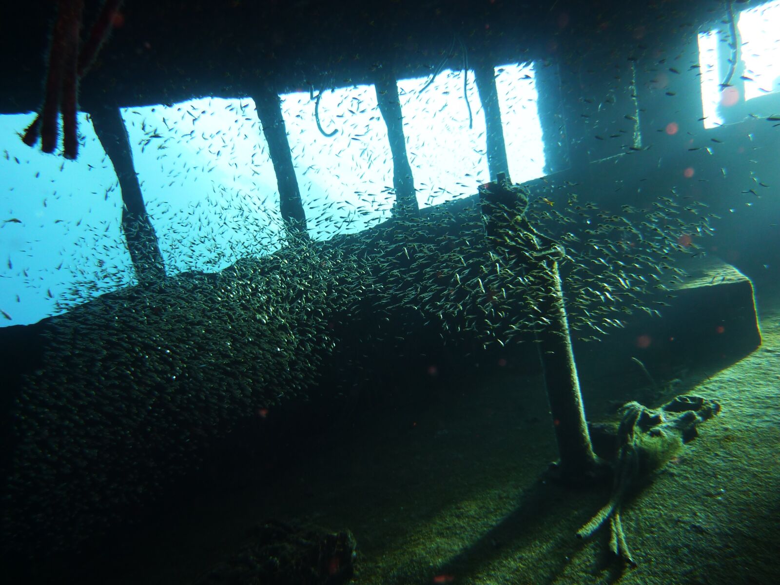 Panasonic Lumix DMC-ZS1 (Lumix DMC-TZ6) sample photo. Wreck, underwater, diving photography