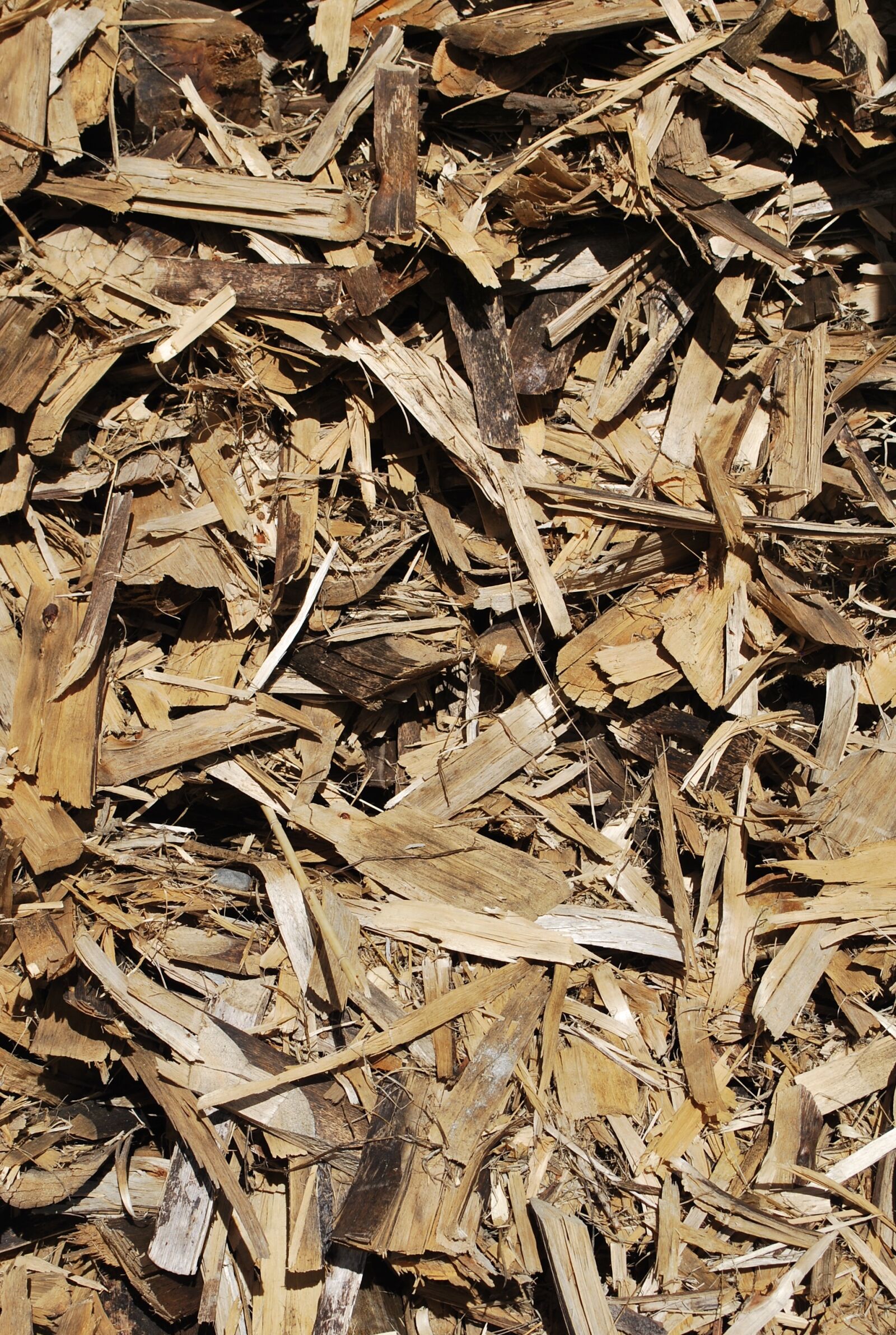 Nikon D60 sample photo. Wood, background, old wood photography